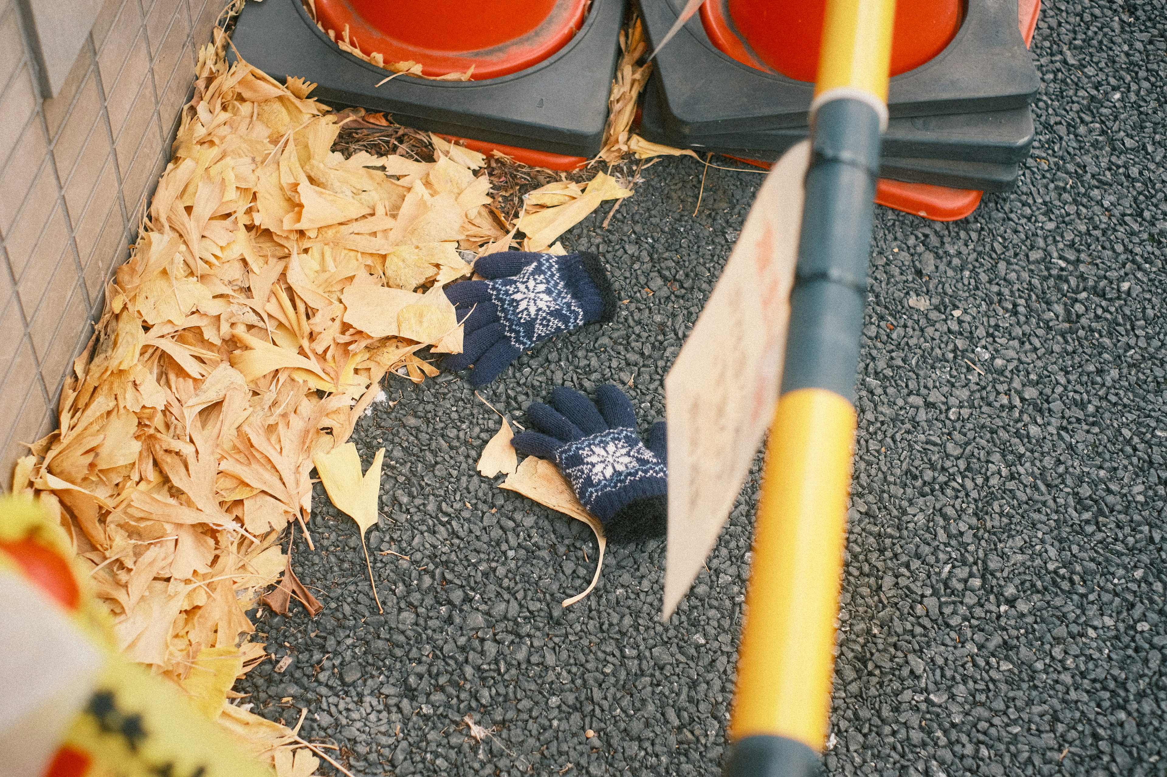 Blue gloves on fallen leaves next to orange traffic cones