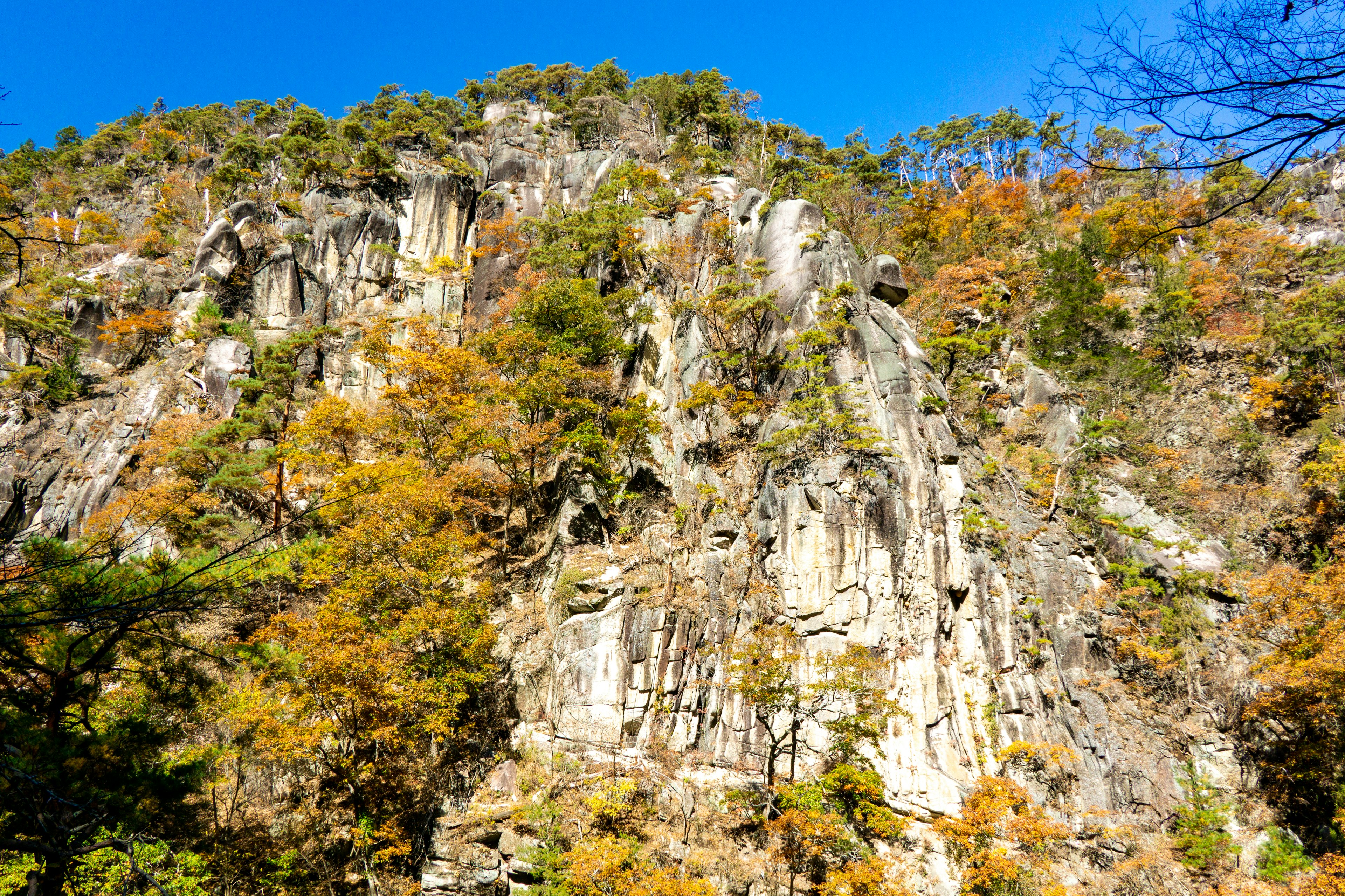 Rocky cliff adorned with autumn foliage and clear blue sky