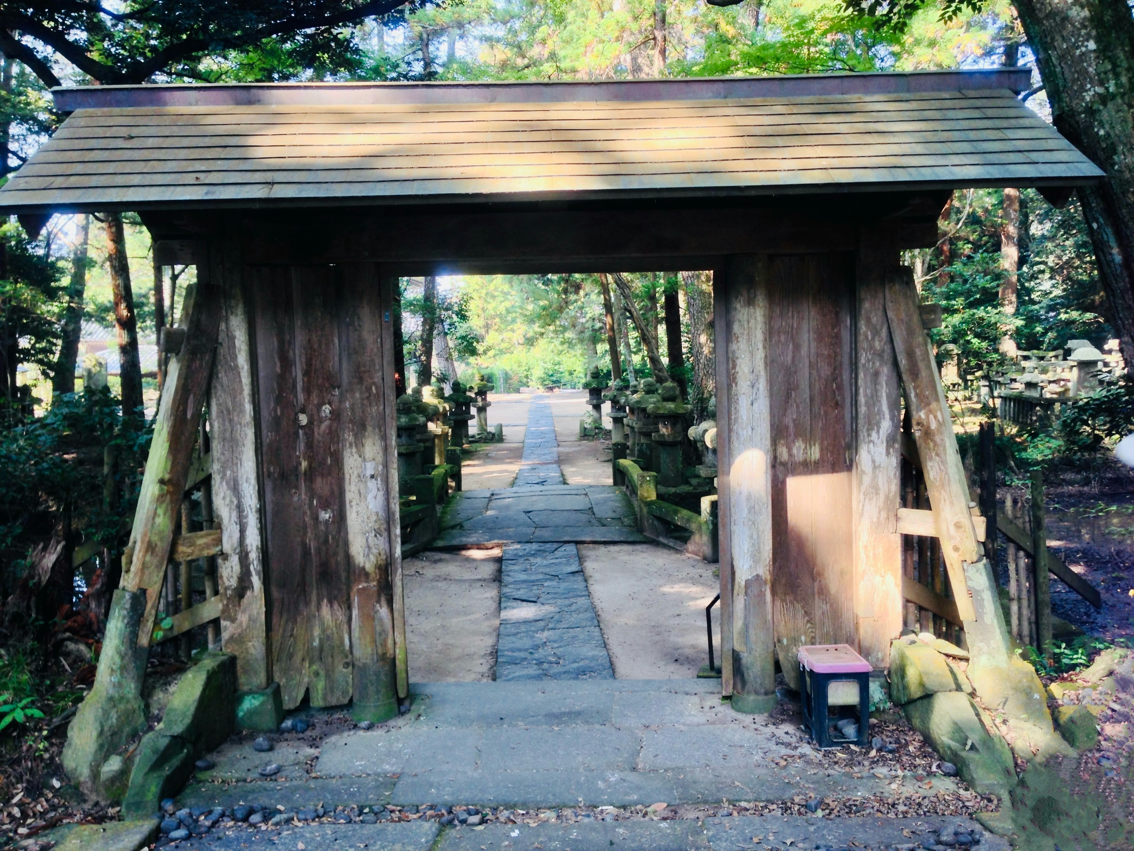 Wooden gate leading to a pathway surrounded by greenery