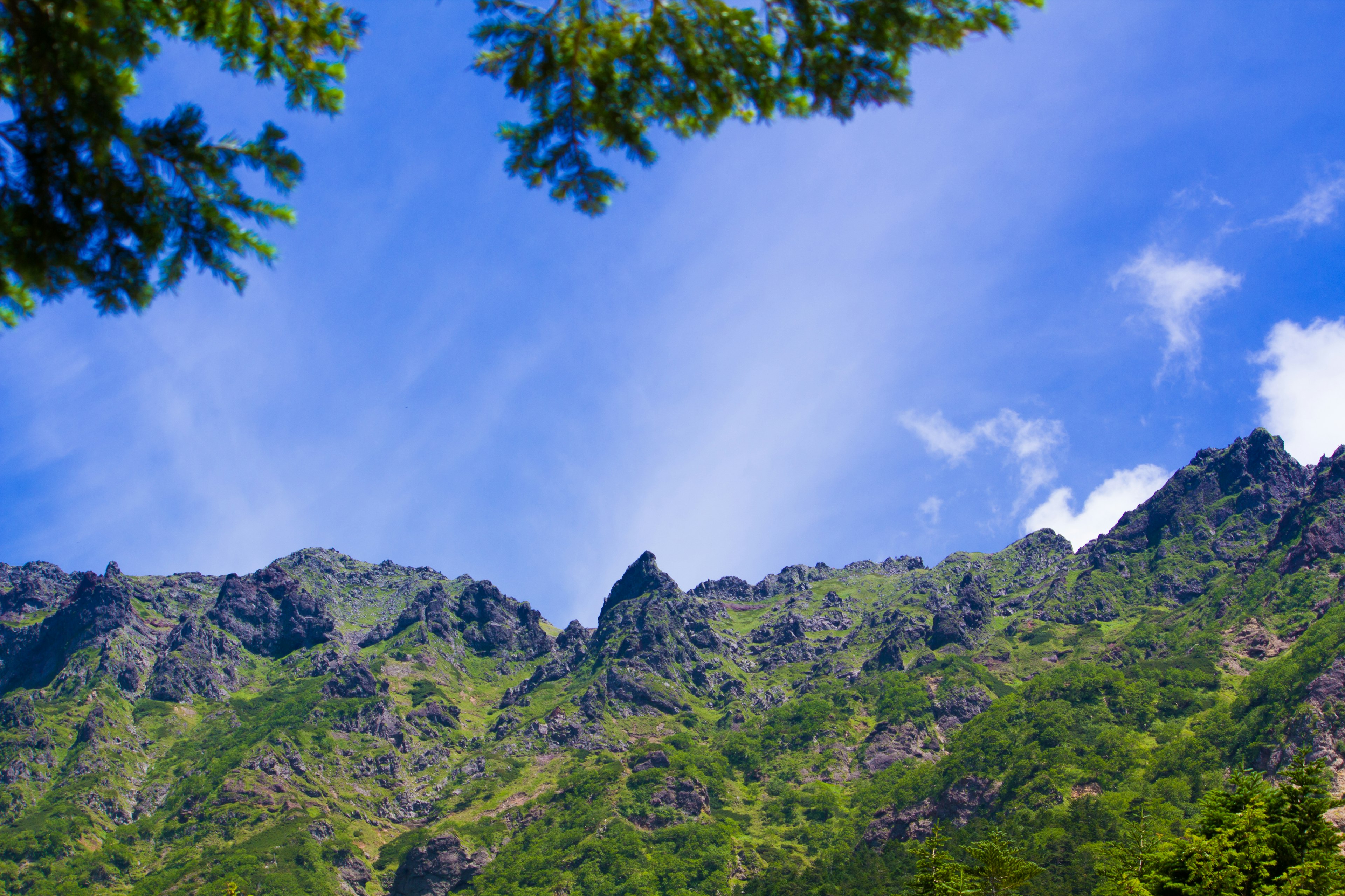 Üppige grüne Berge und felsige Gipfel unter einem blauen Himmel