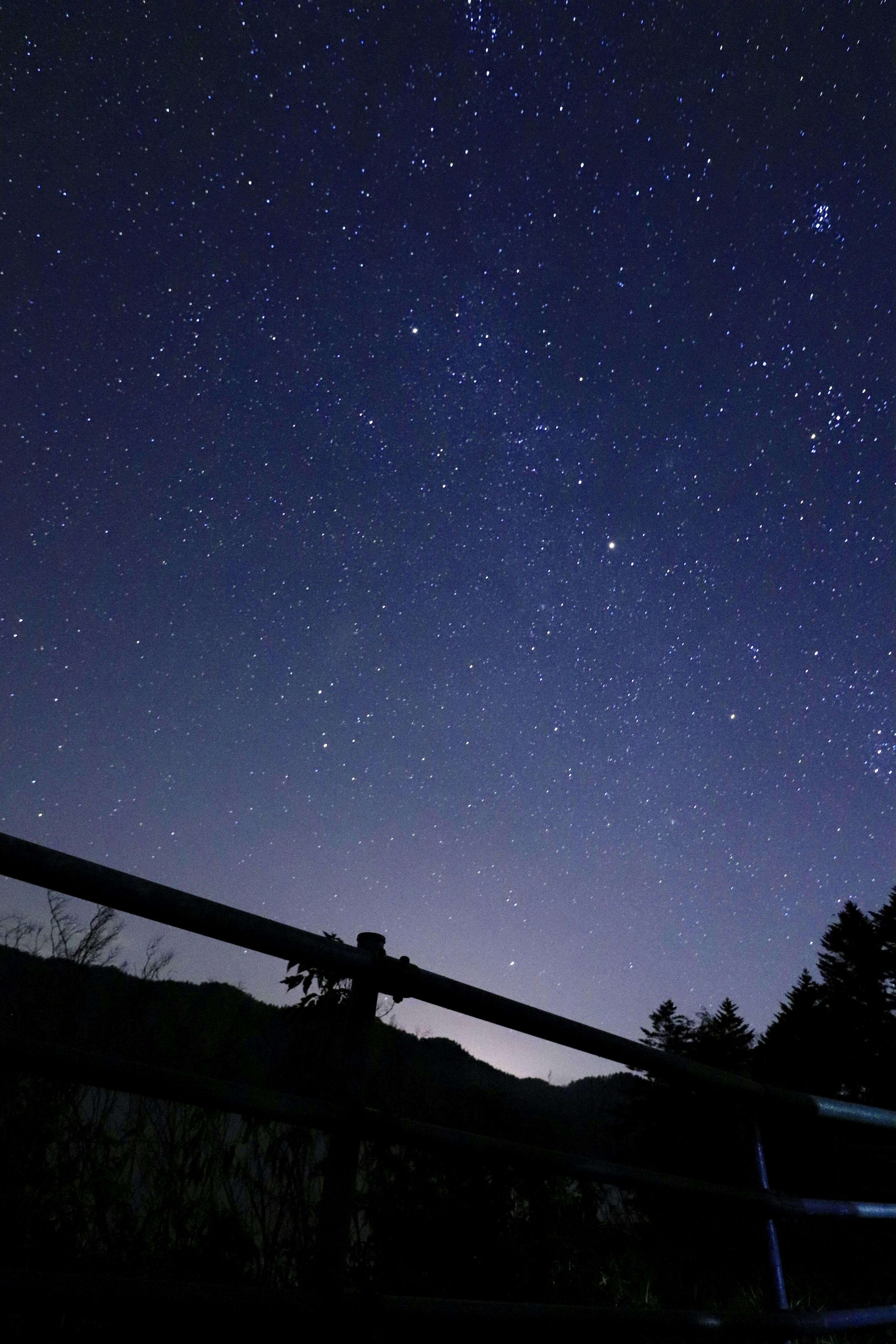 Ciel nocturne magnifique rempli d'étoiles et silhouette d'horizon sombre