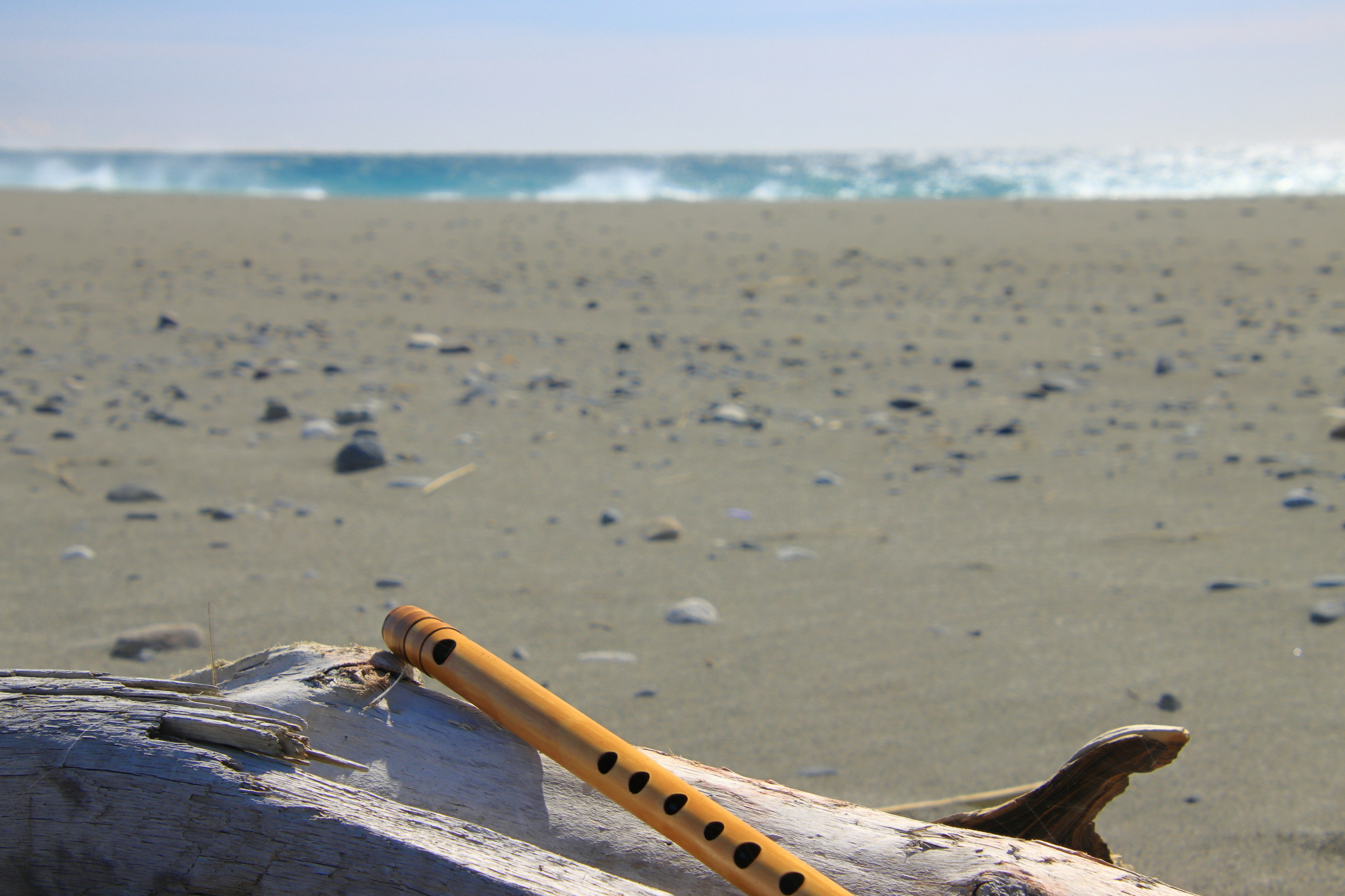 Flute resting on driftwood at a sandy beach with ocean waves