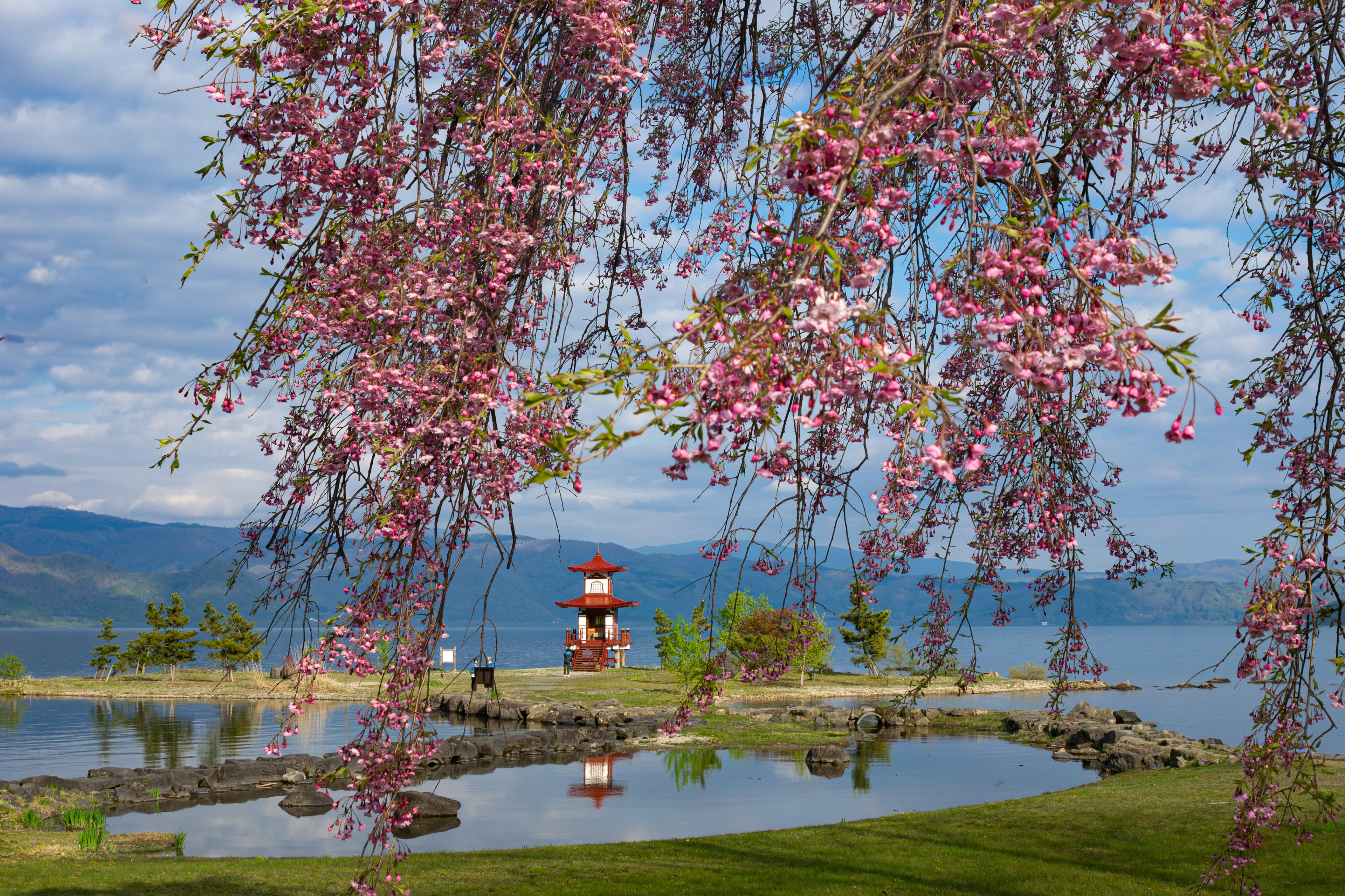 Vista panoramica di ciliegi in fiore con un faro vicino al lago