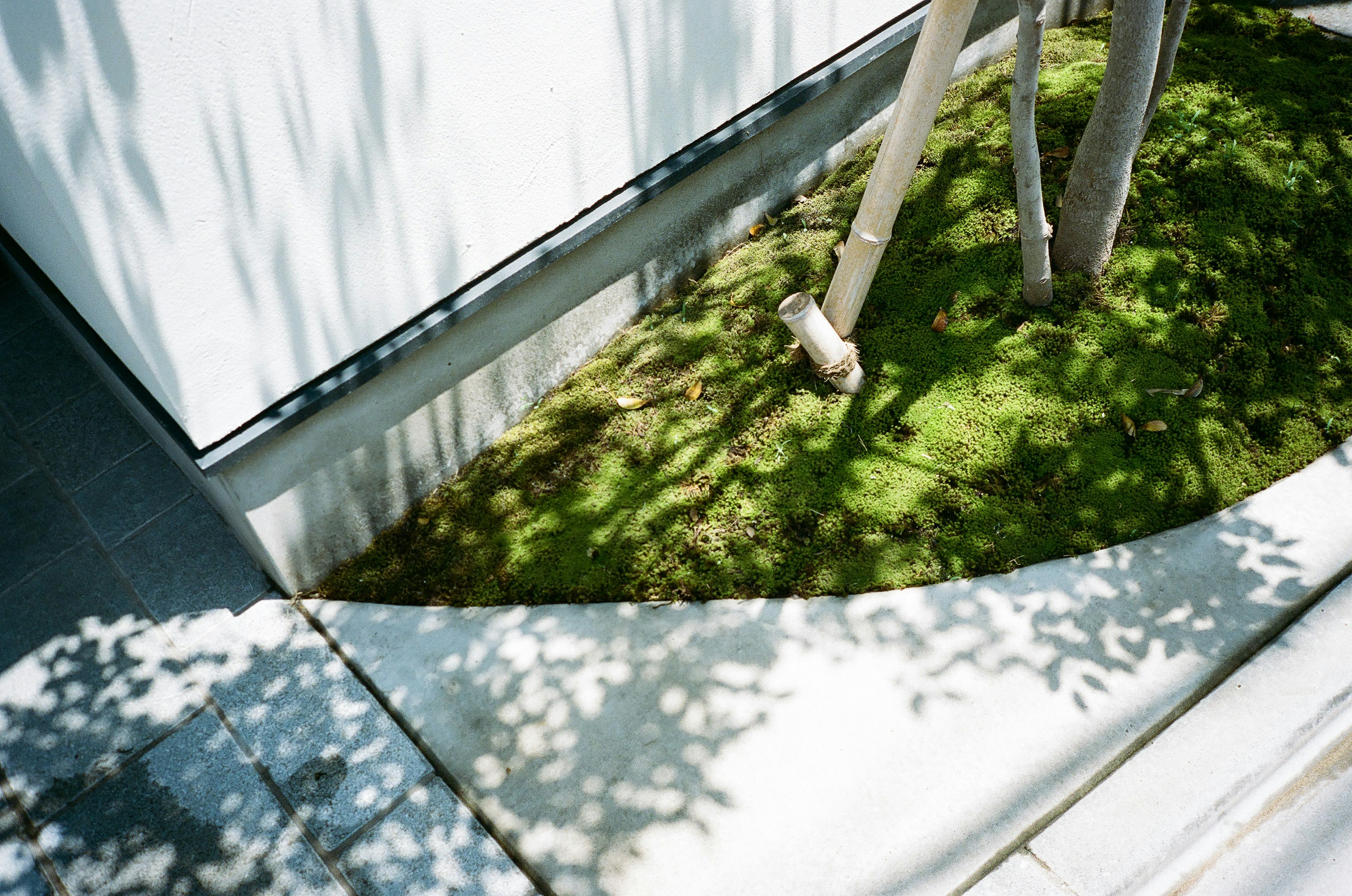 A garden view featuring a white wall and green grass with shadows