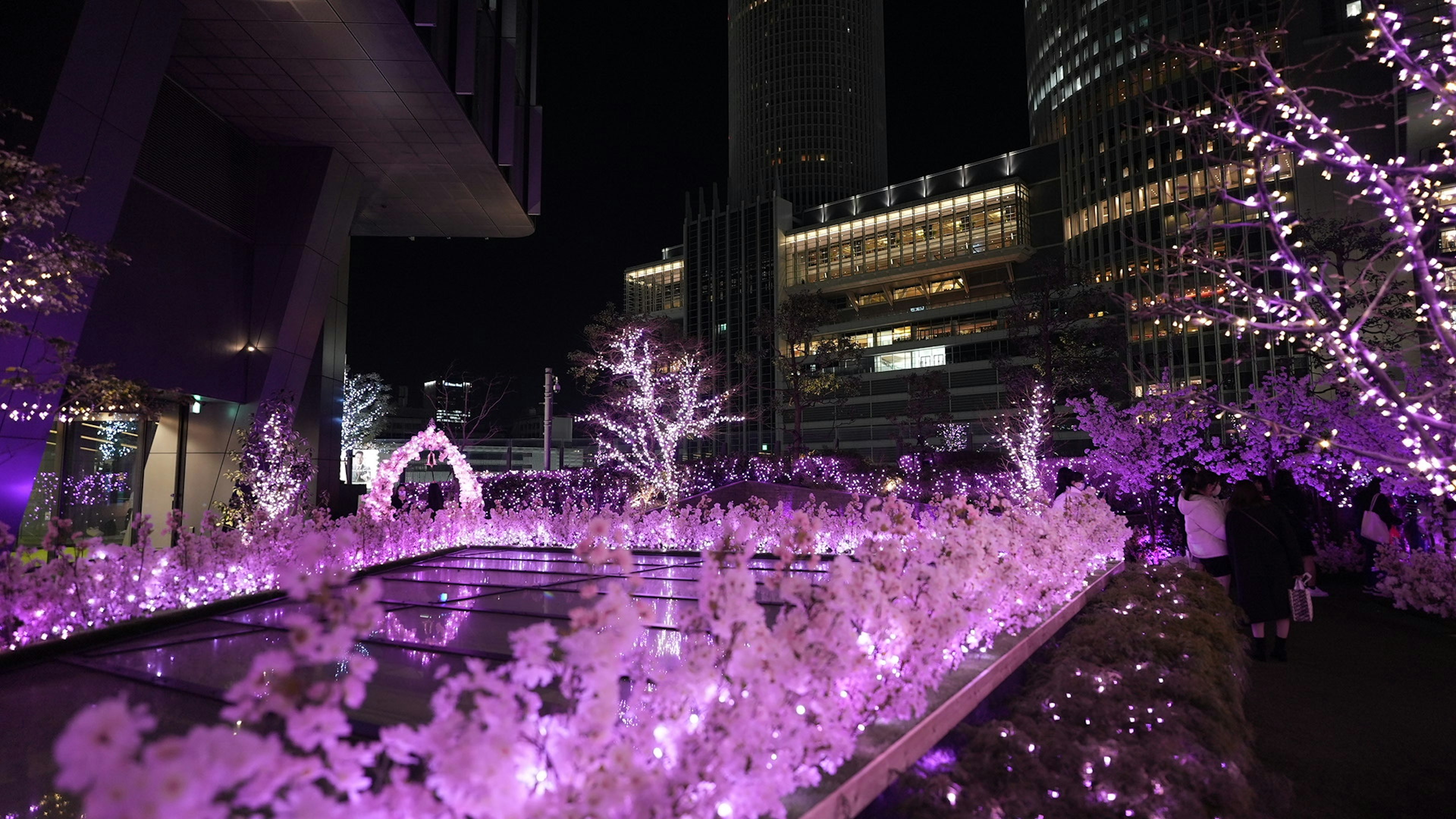 夜の都市の紫色のイルミネーションと水辺の光景