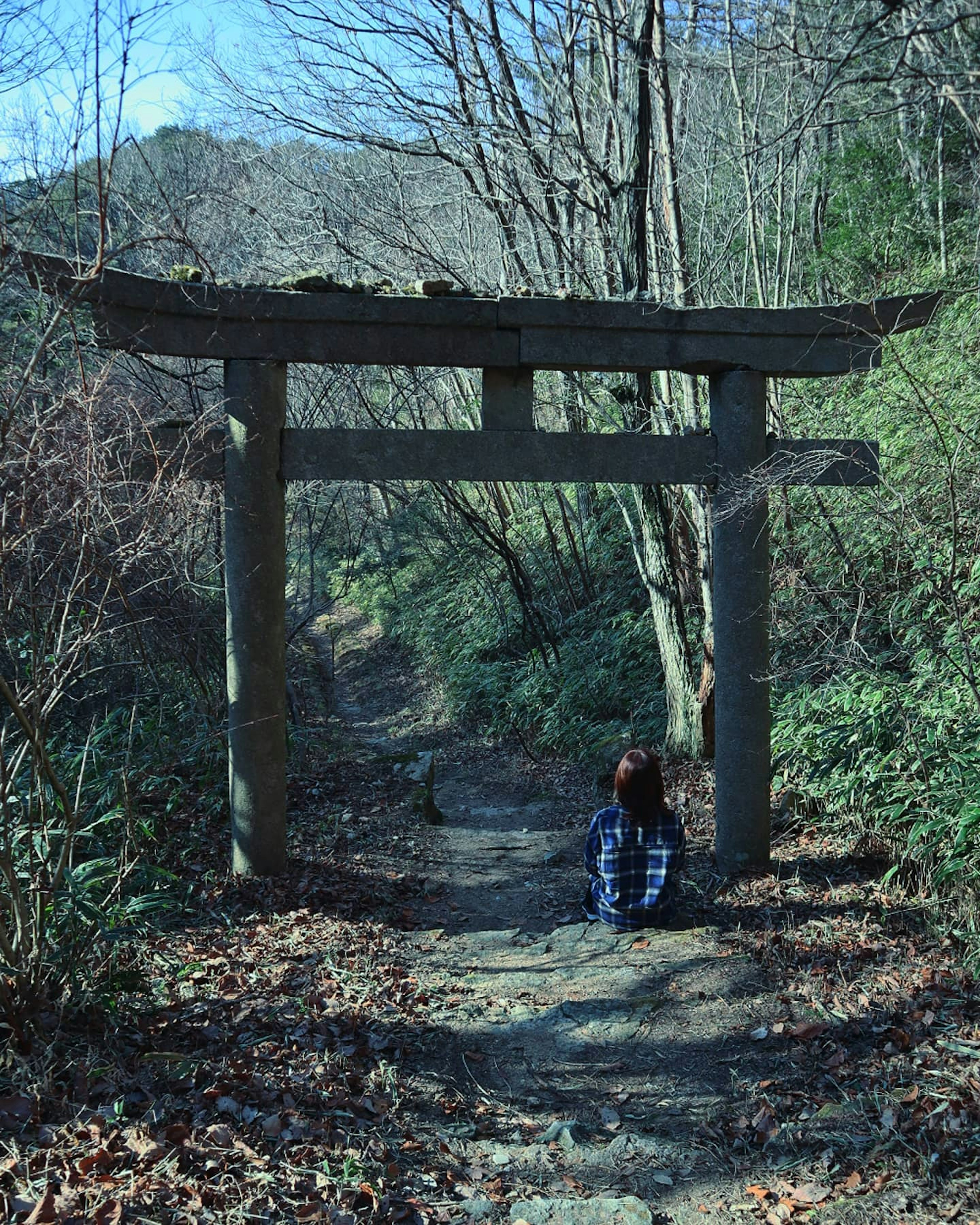 静かな山道に立つ伝統的な鳥居の前に座る人物