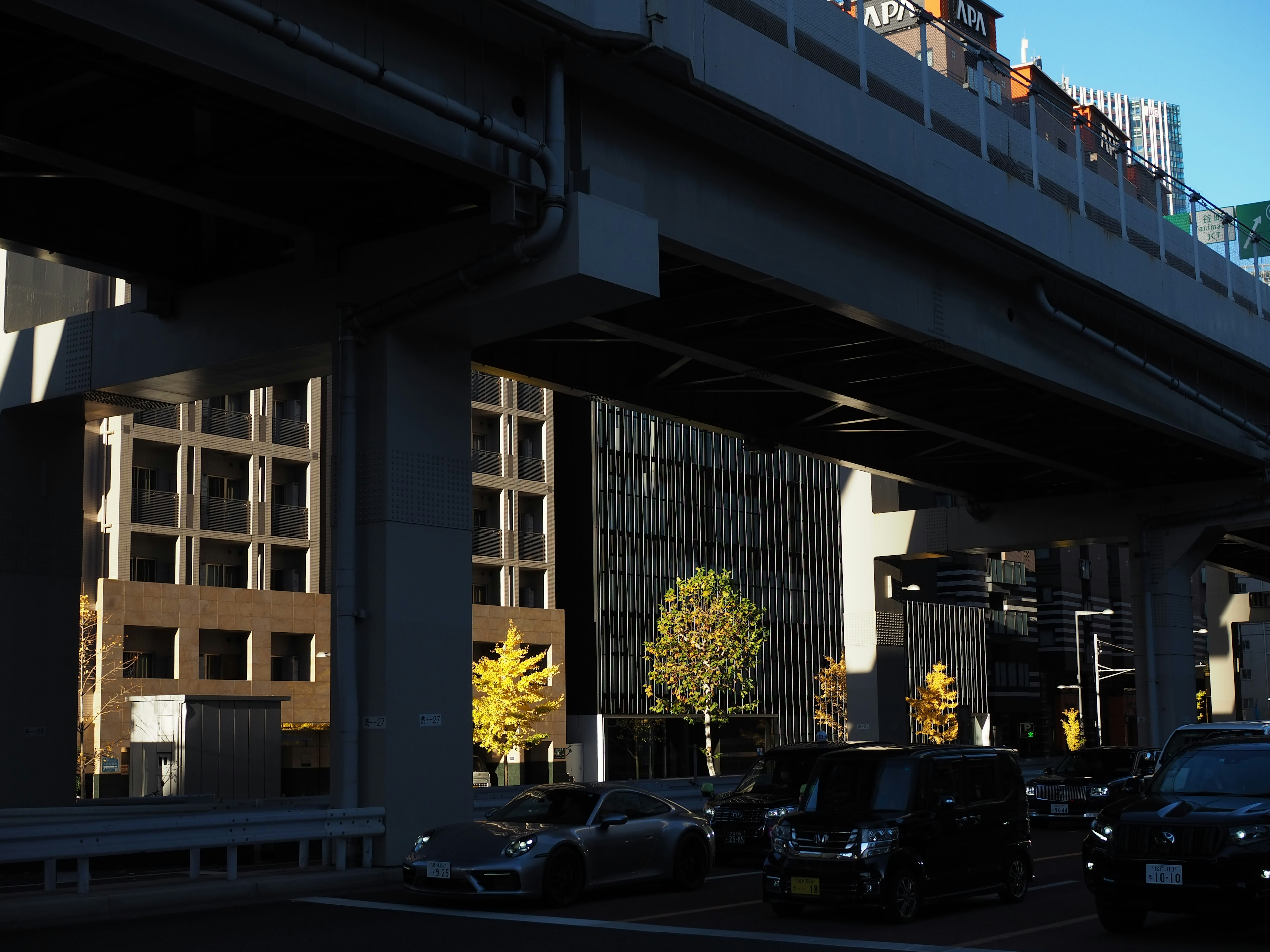 Urban landscape under an elevated road with vibrant yellow trees