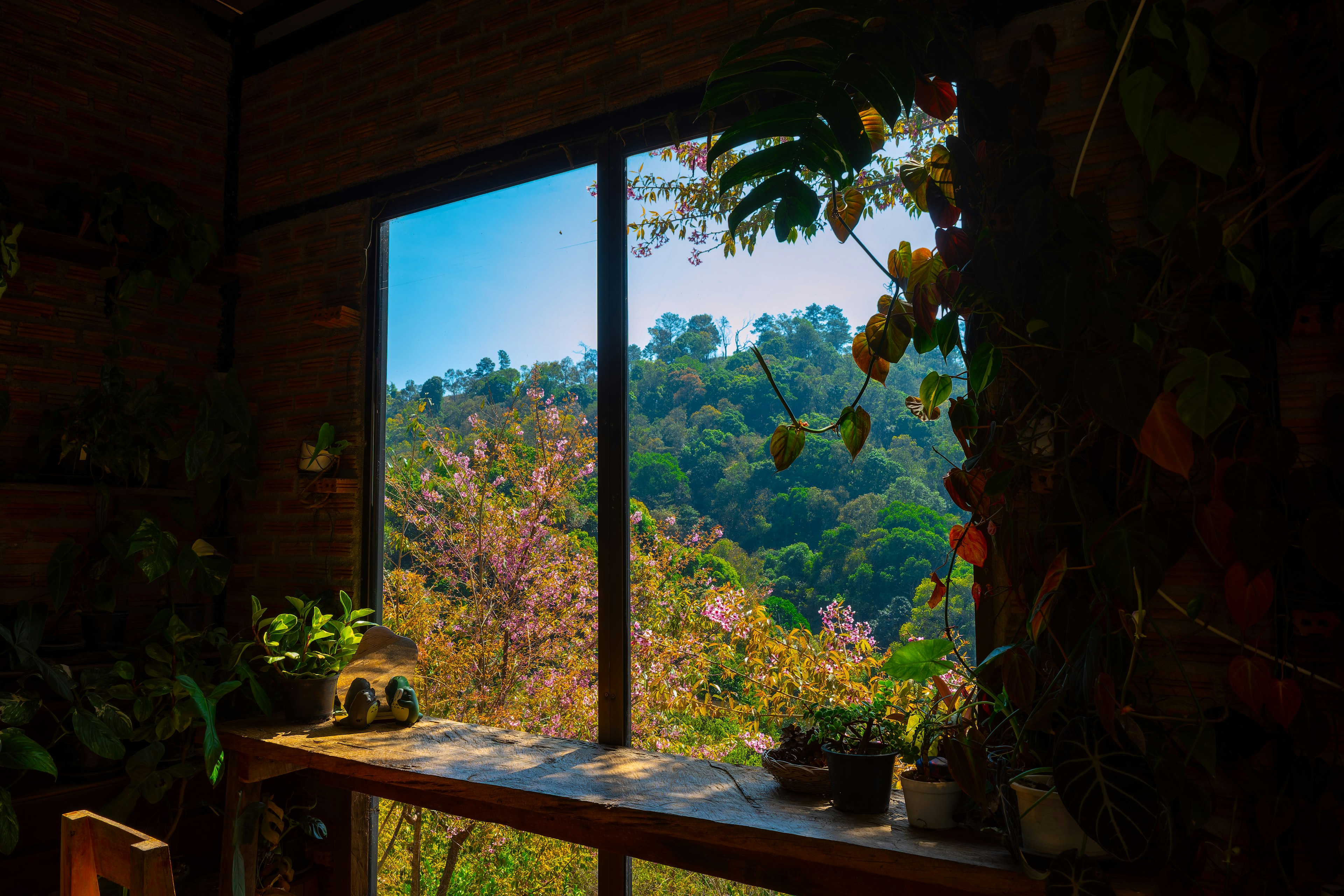 View of lush mountains and plants through a window