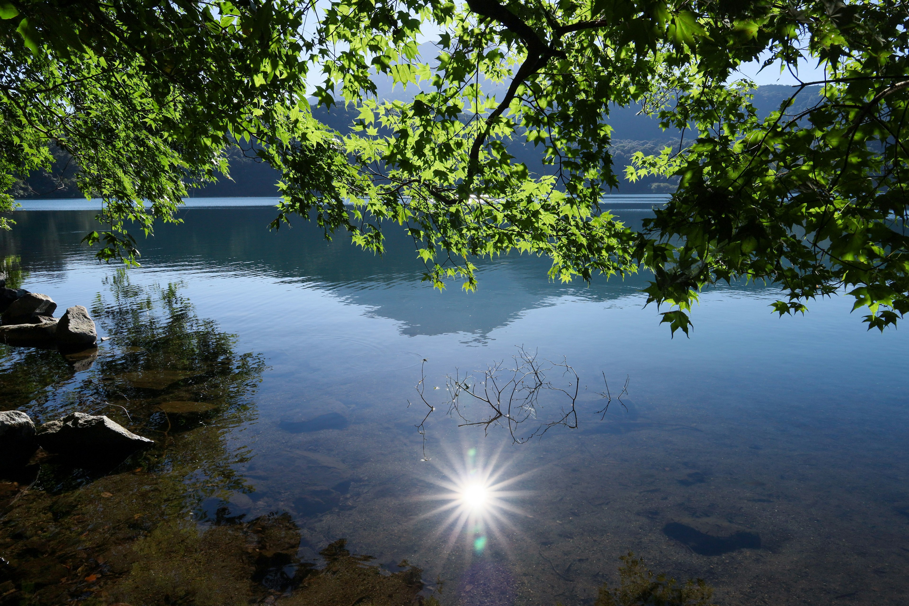 Ein ruhiger See unter einem blauen Himmel mit Blättern, die sich auf der Oberfläche spiegeln, und Sonnenlicht, das auf dem Wasser funkelt