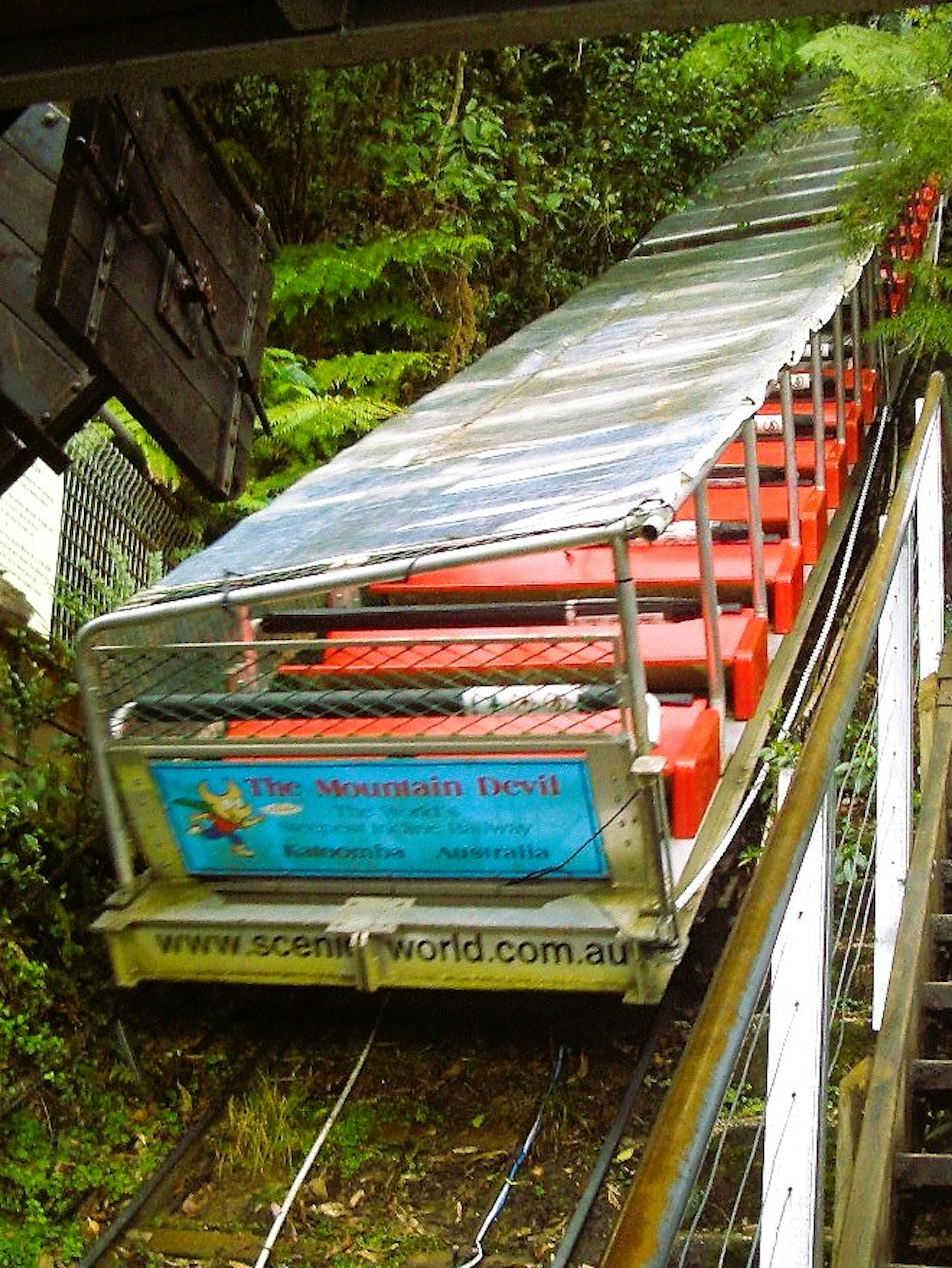 Cable car with red seats traveling through lush greenery