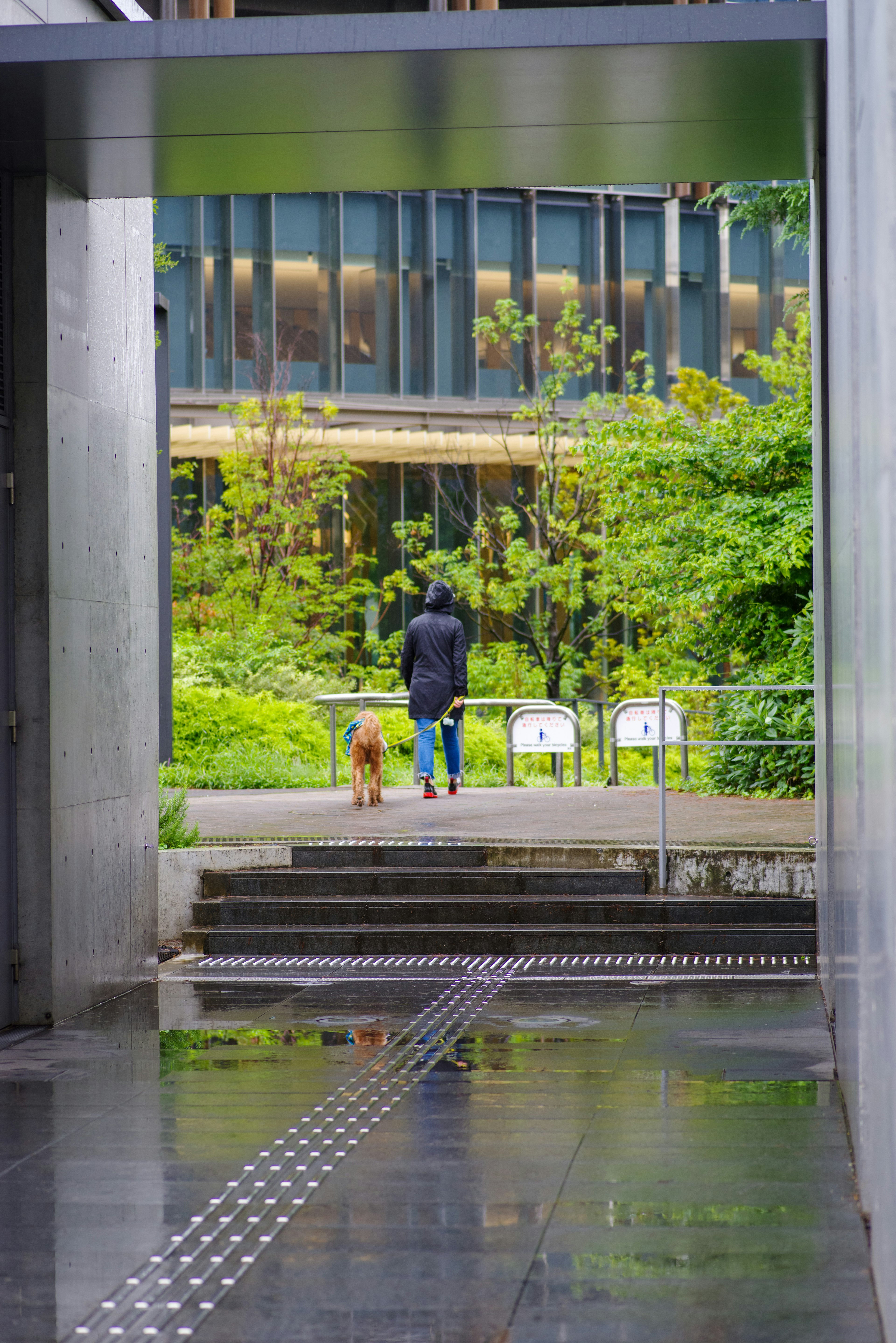 A person walking a dog in front of a modern building surrounded by greenery