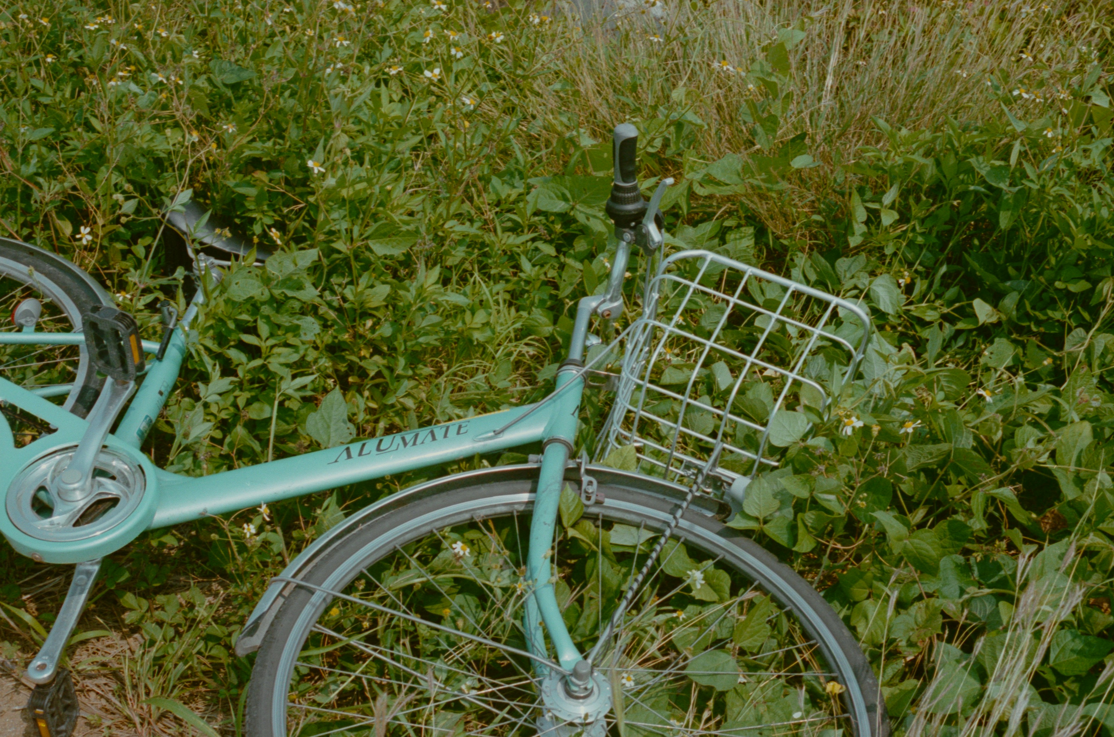 草の中にある緑色の自転車のフロント部分とバスケット