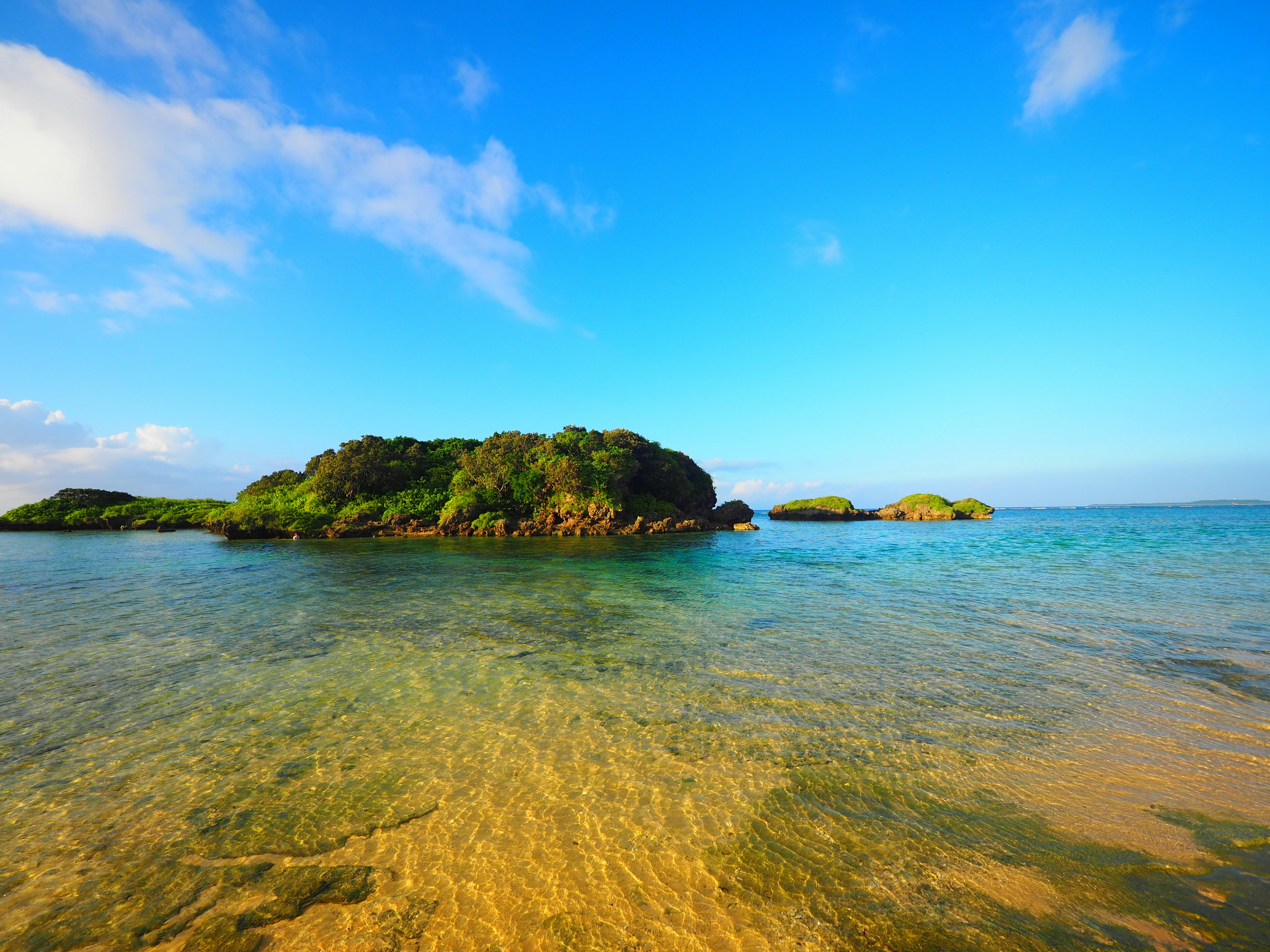 清澈水域與綠色島嶼的風景，藍天之下