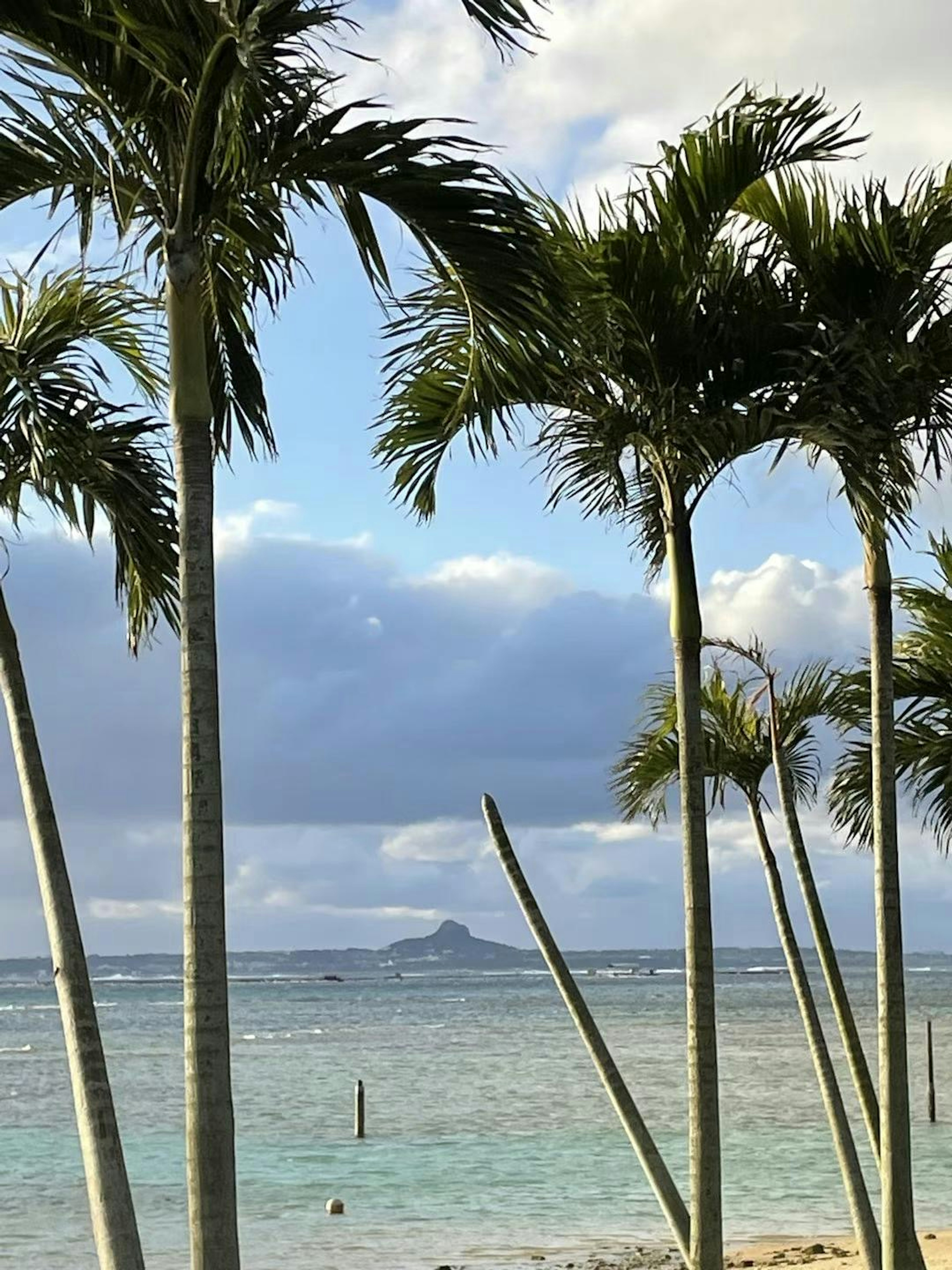 Palmiers devant un fond de mer et de ciel bleu avec une île au loin