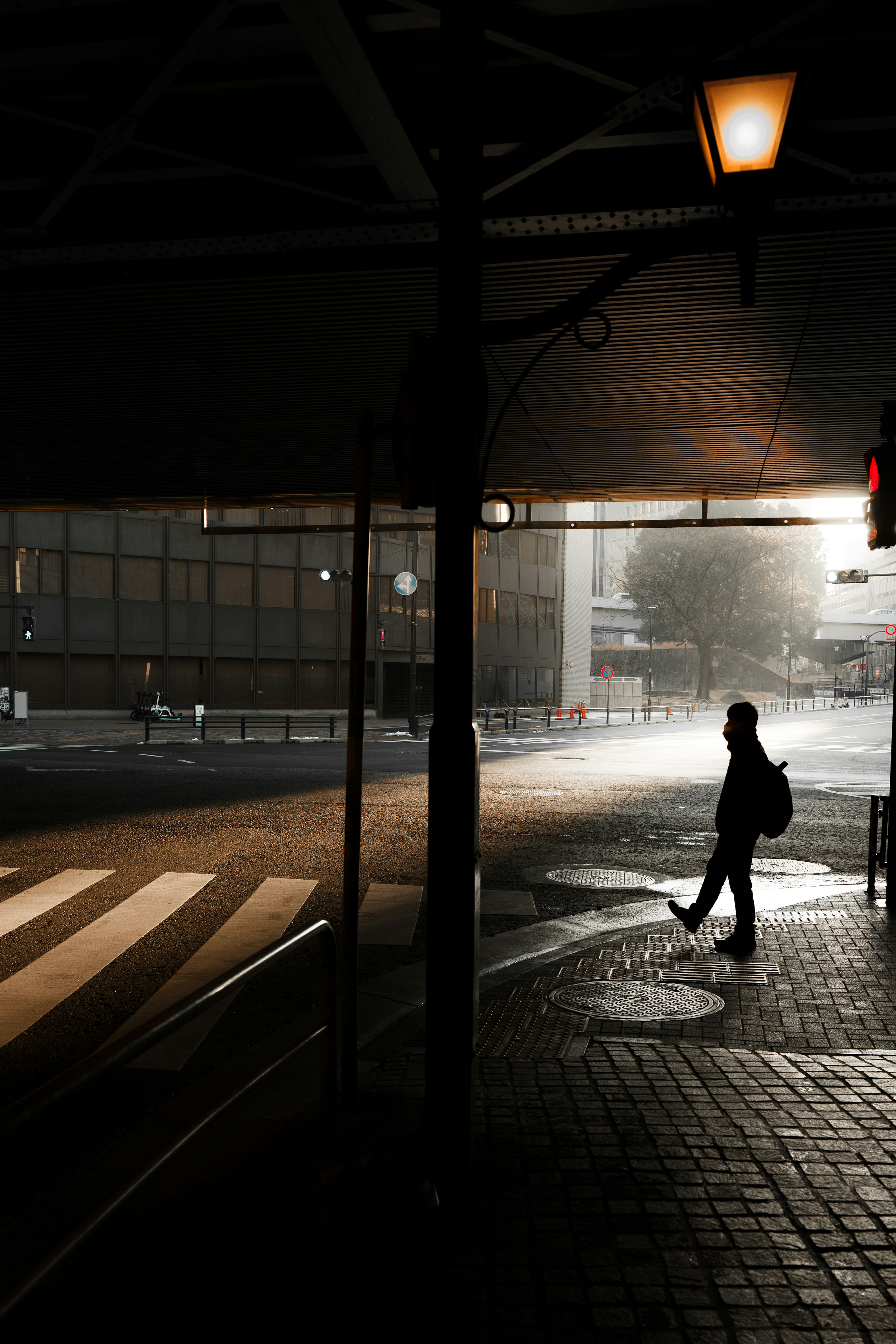 Silhouette di una persona che cammina in un ambiente scuro con un lampione in un paesaggio urbano