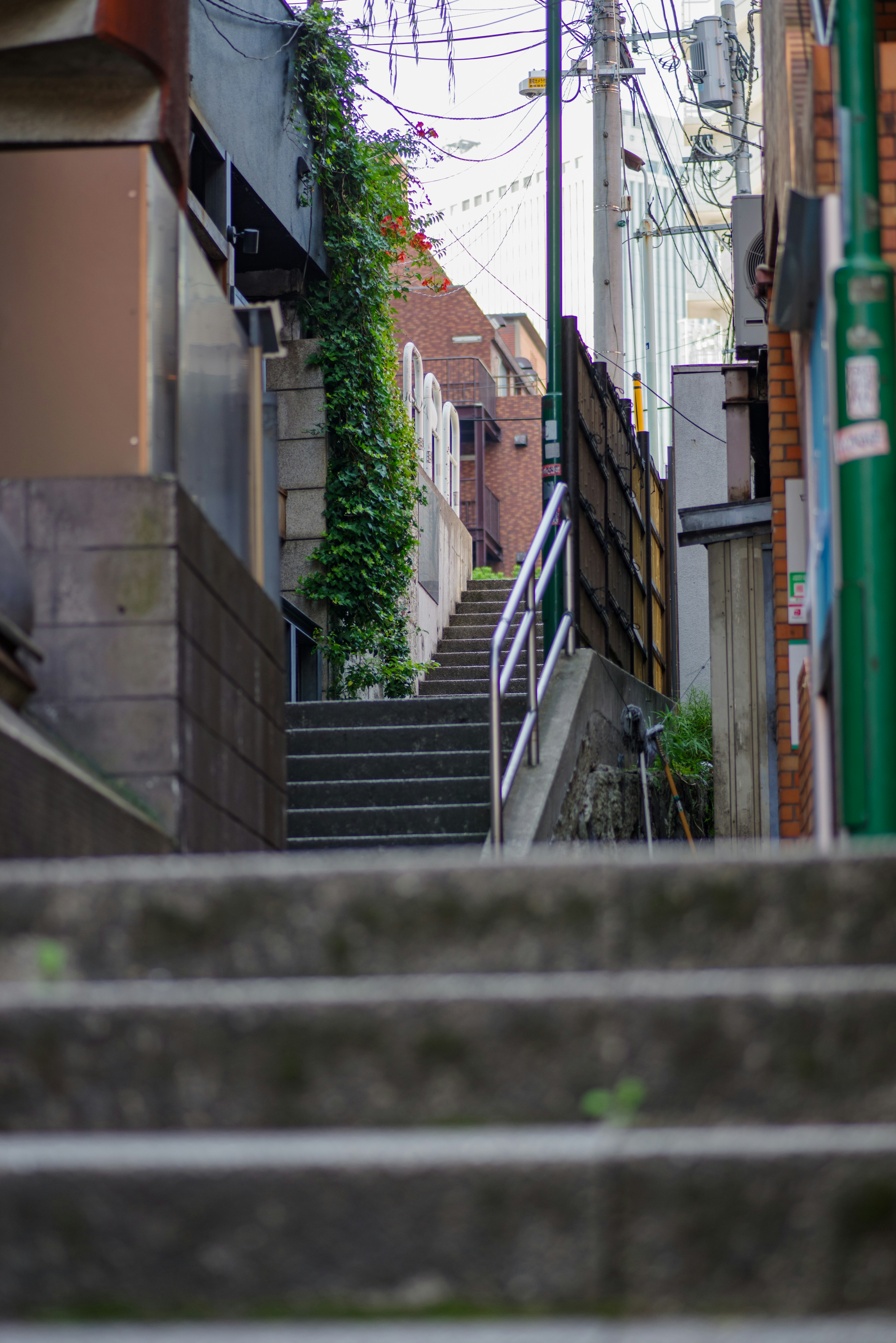 石段が続く狭い路地の風景 緑の植物が絡む壁と古い建物