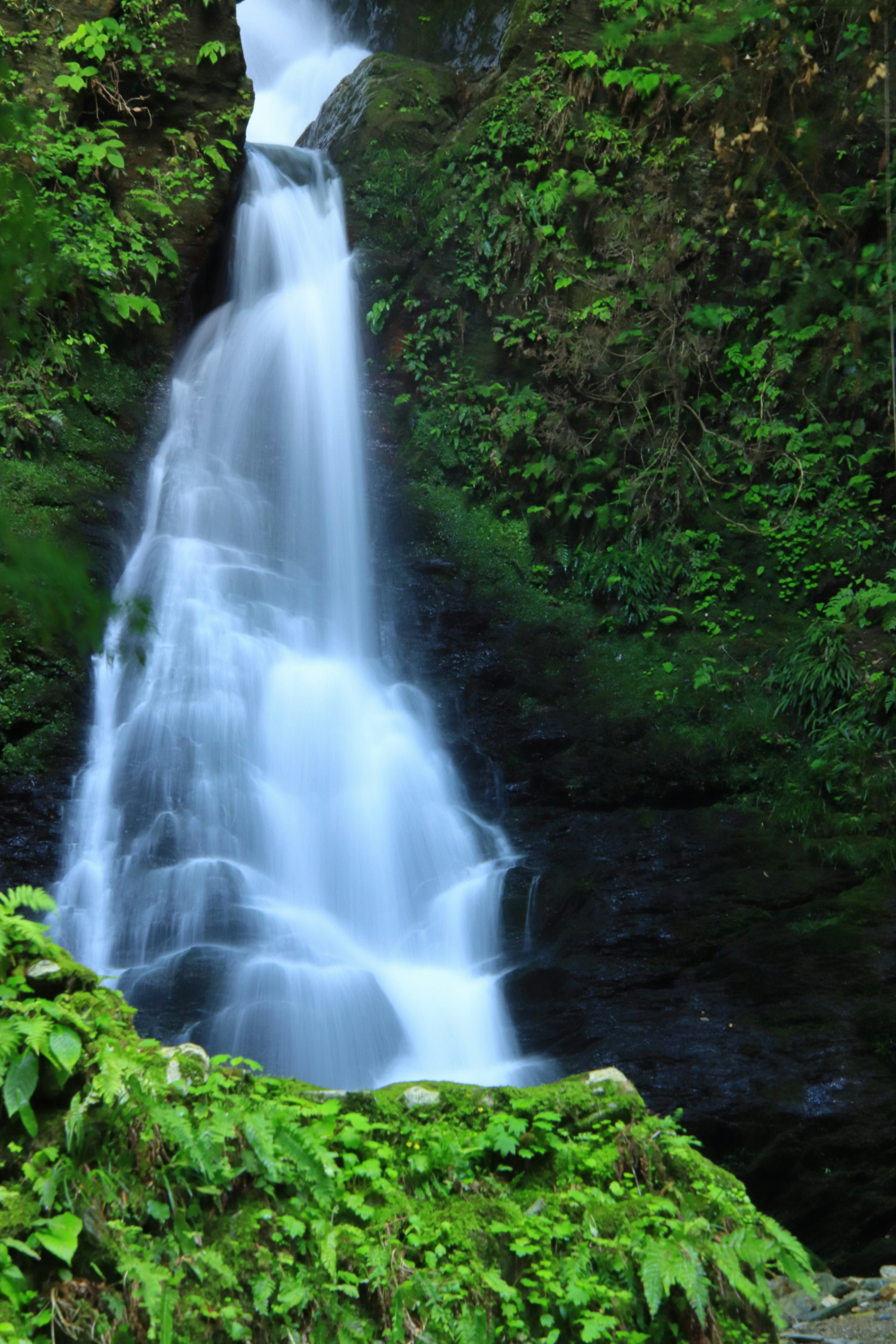 Air terjun indah mengalir melawan latar belakang hijau subur