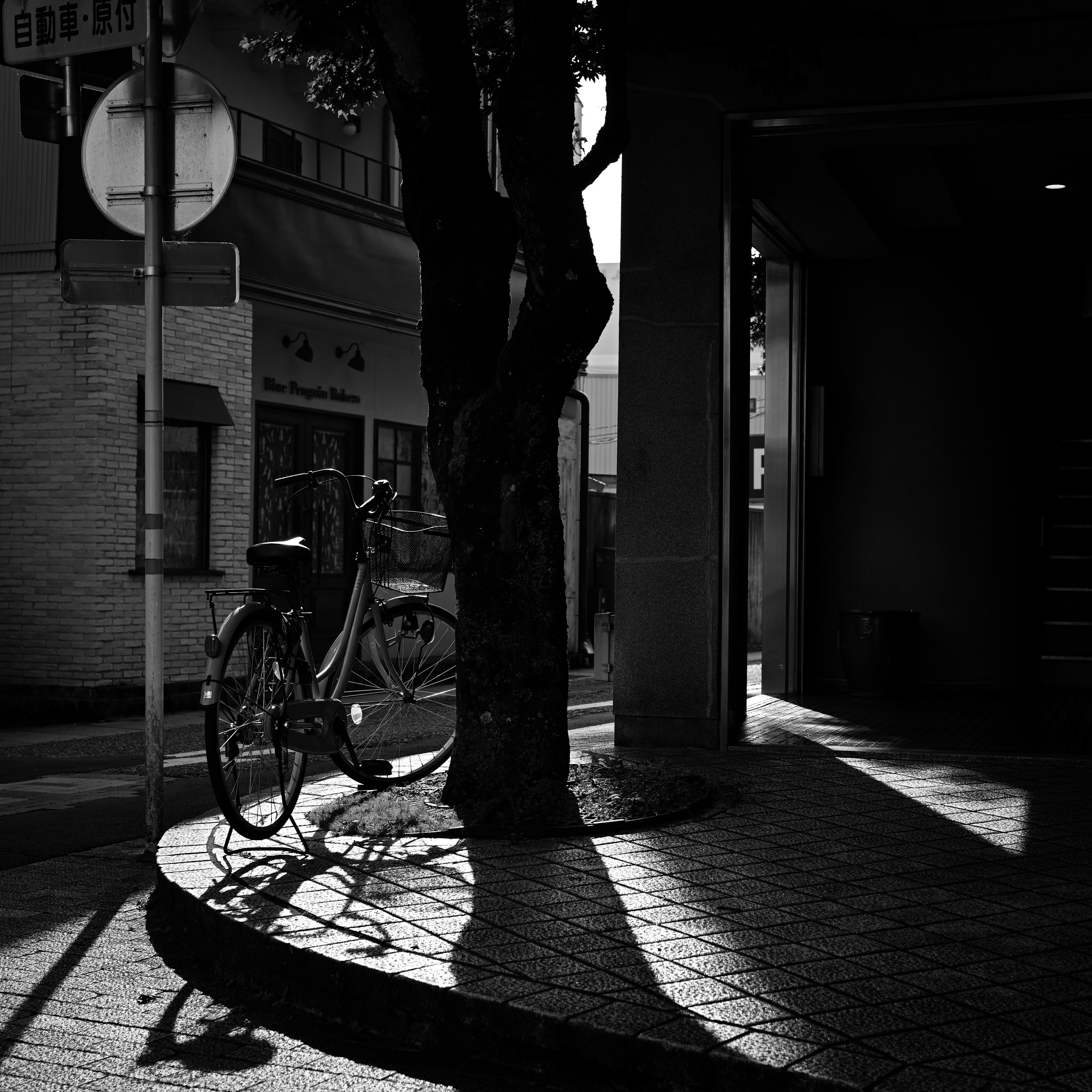 黒と白のコントラストの中で自転車が立てかけられた街角の風景