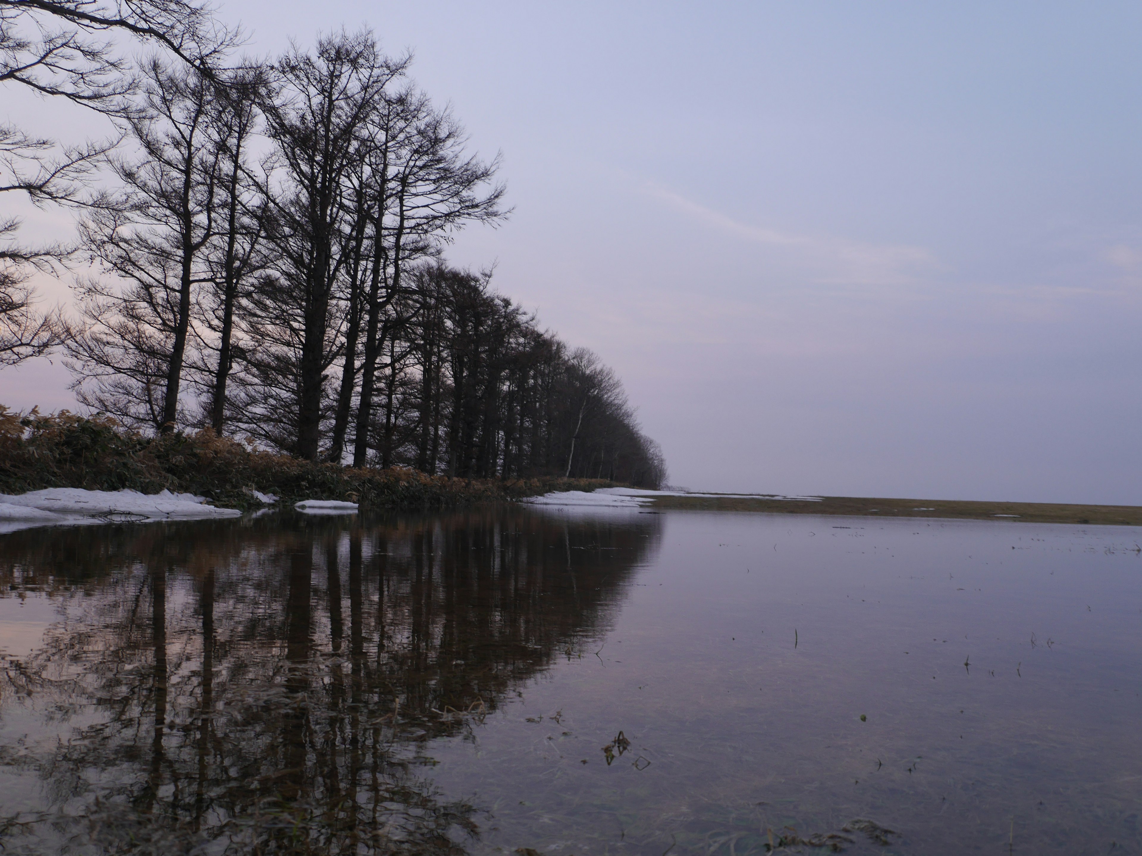 穏やかな水面に映る木々のシルエットと薄明かりの風景