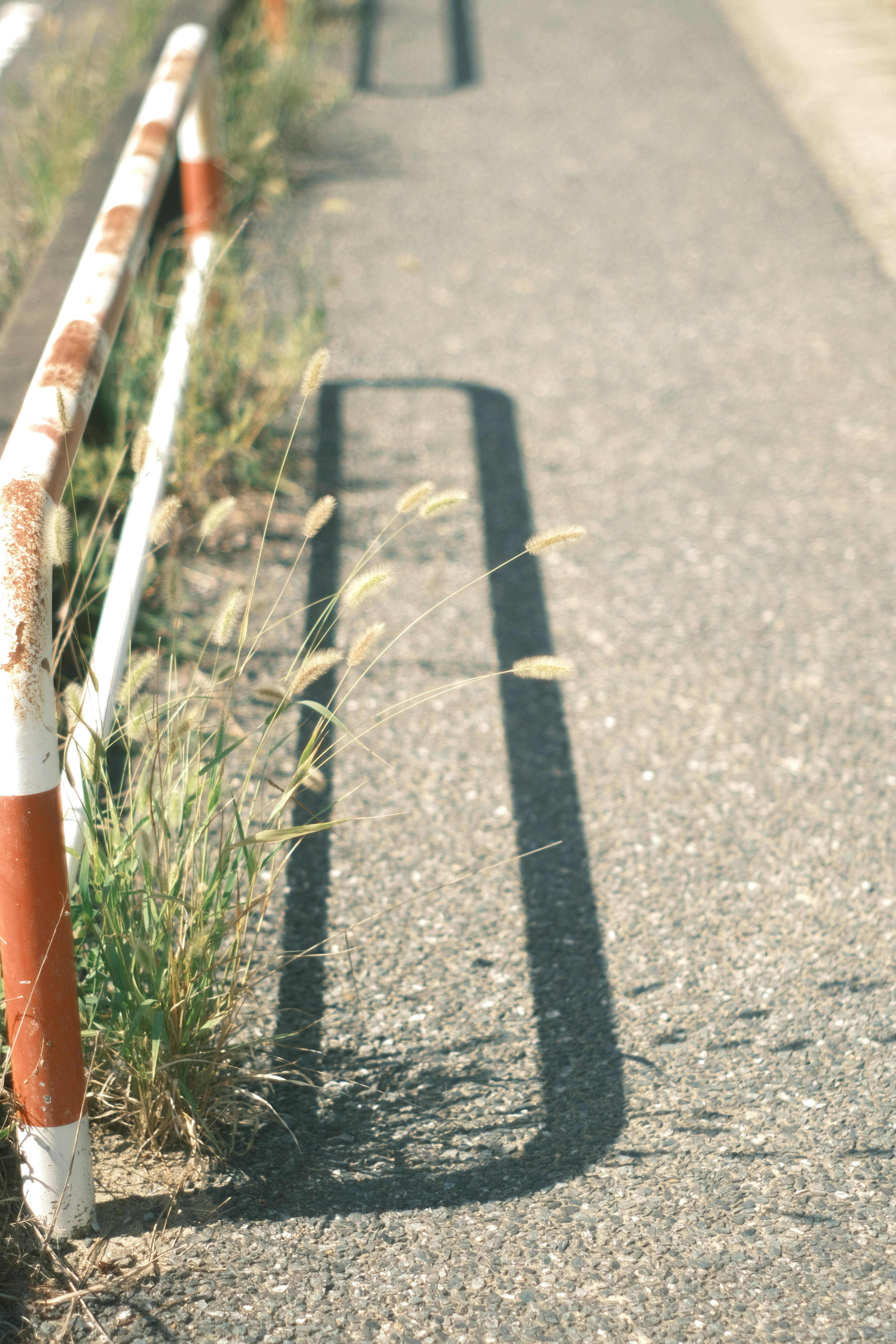 A white and red guardrail casting shadows on a paved path with grass