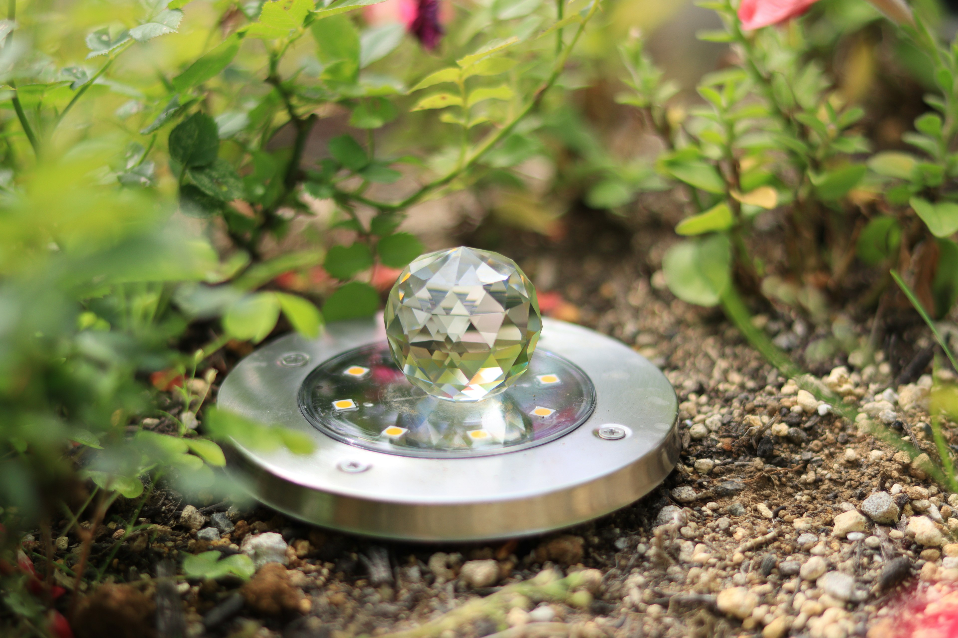 Crystal ball on a metal base surrounded by greenery