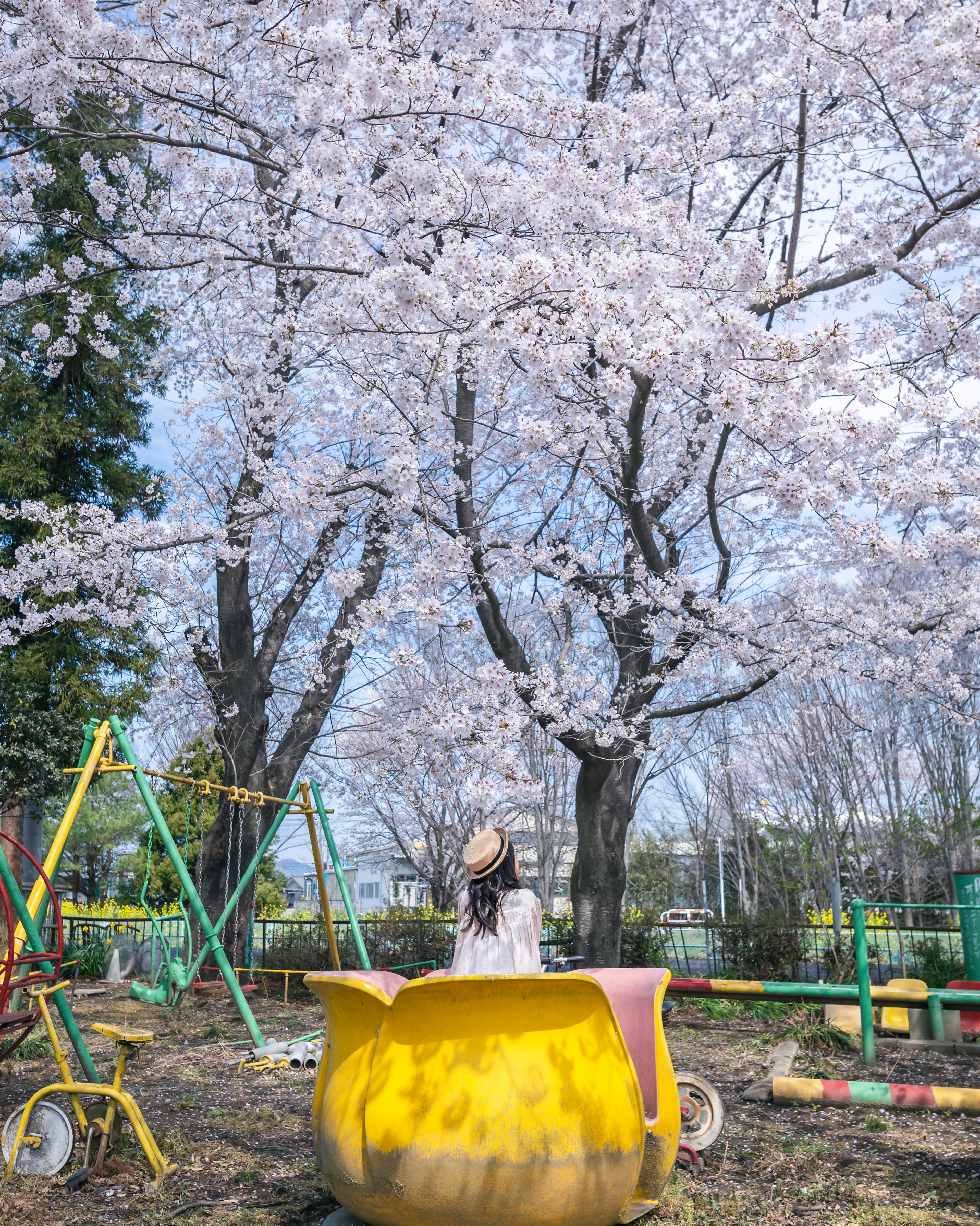 桜の木の下で遊ぶ子供と遊具のある公園の風景