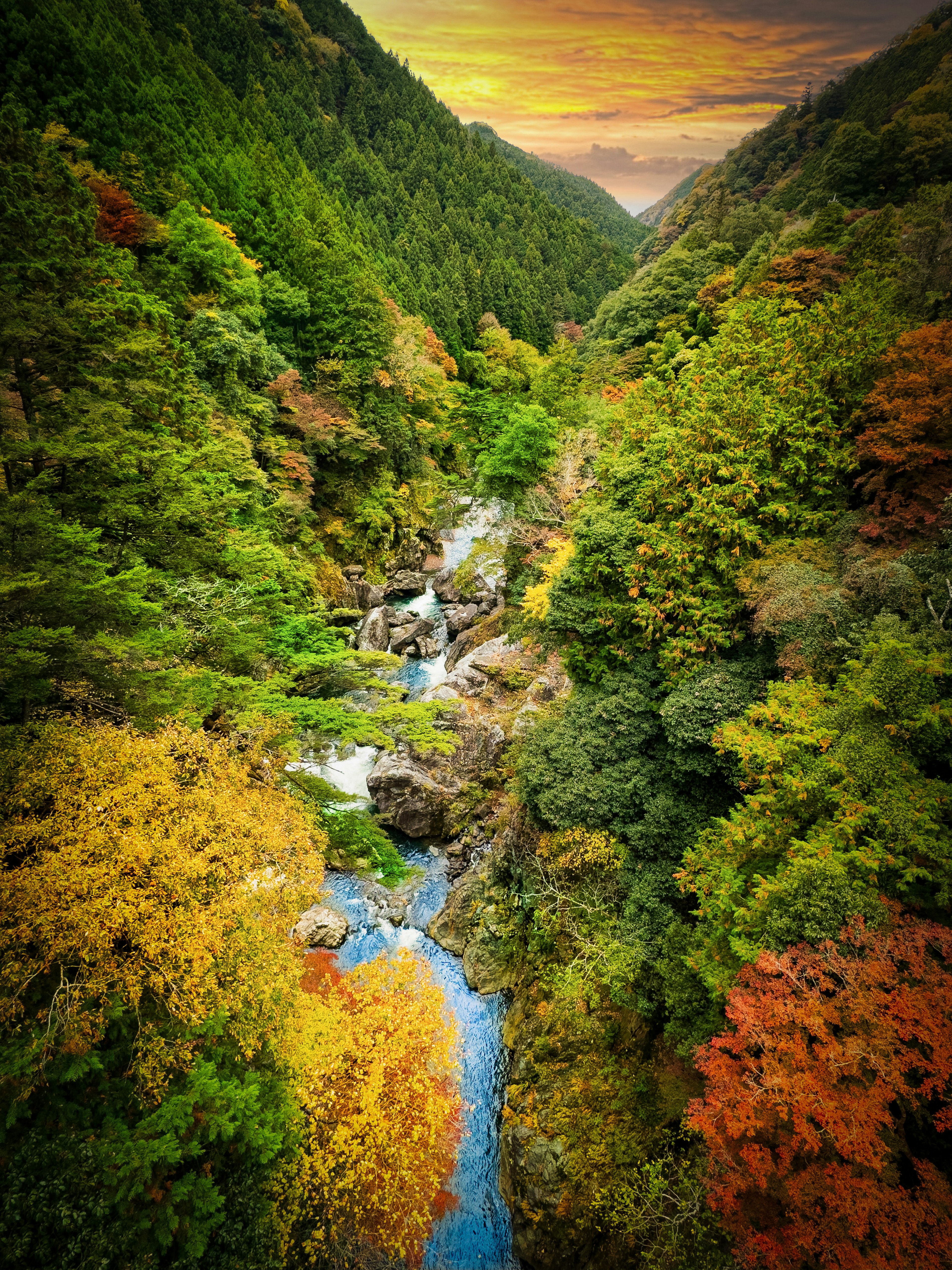 Schöner Bach, der durch lebhaftes Herbstlaub fließt