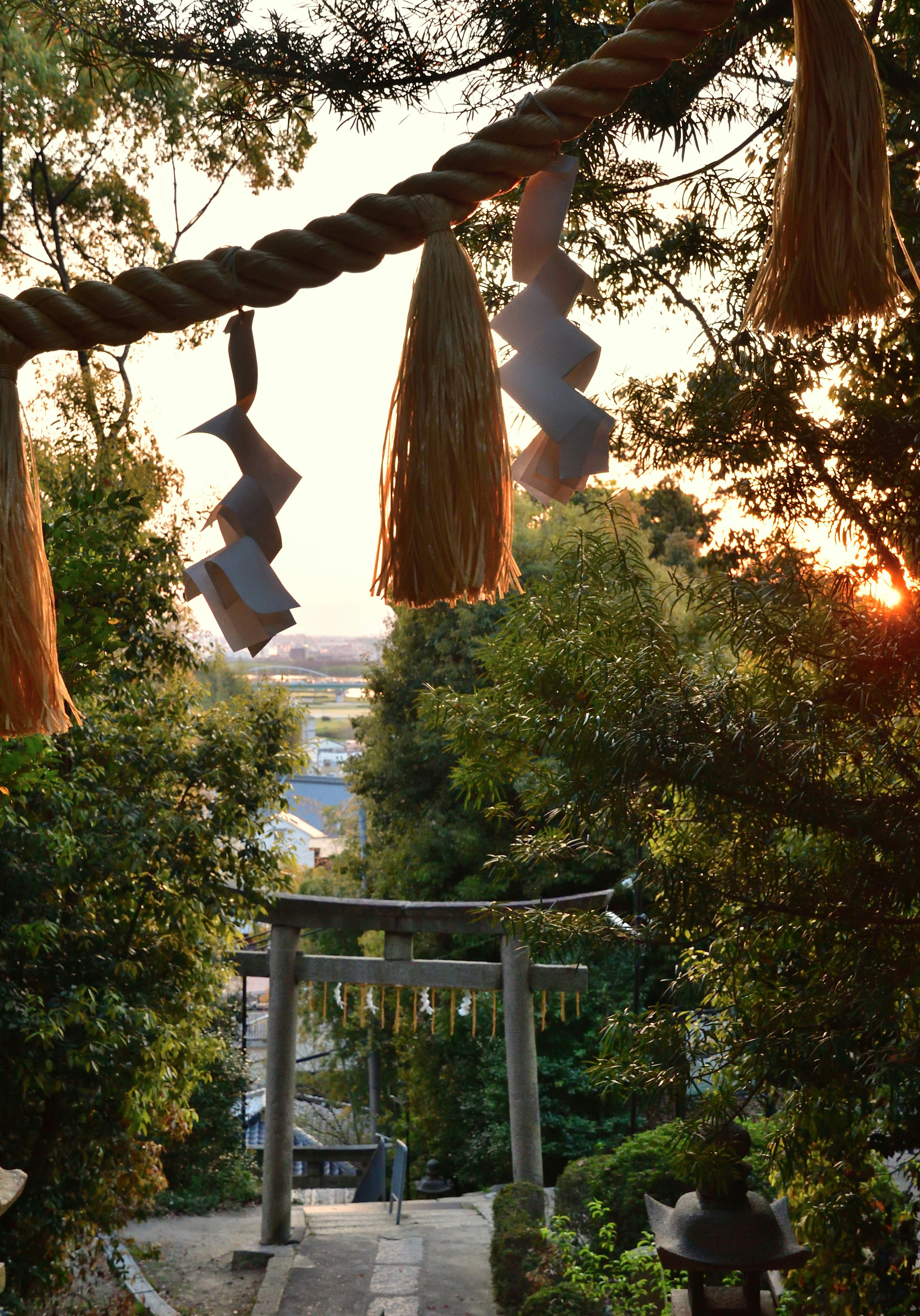 Evening view featuring a torii gate and lush greenery