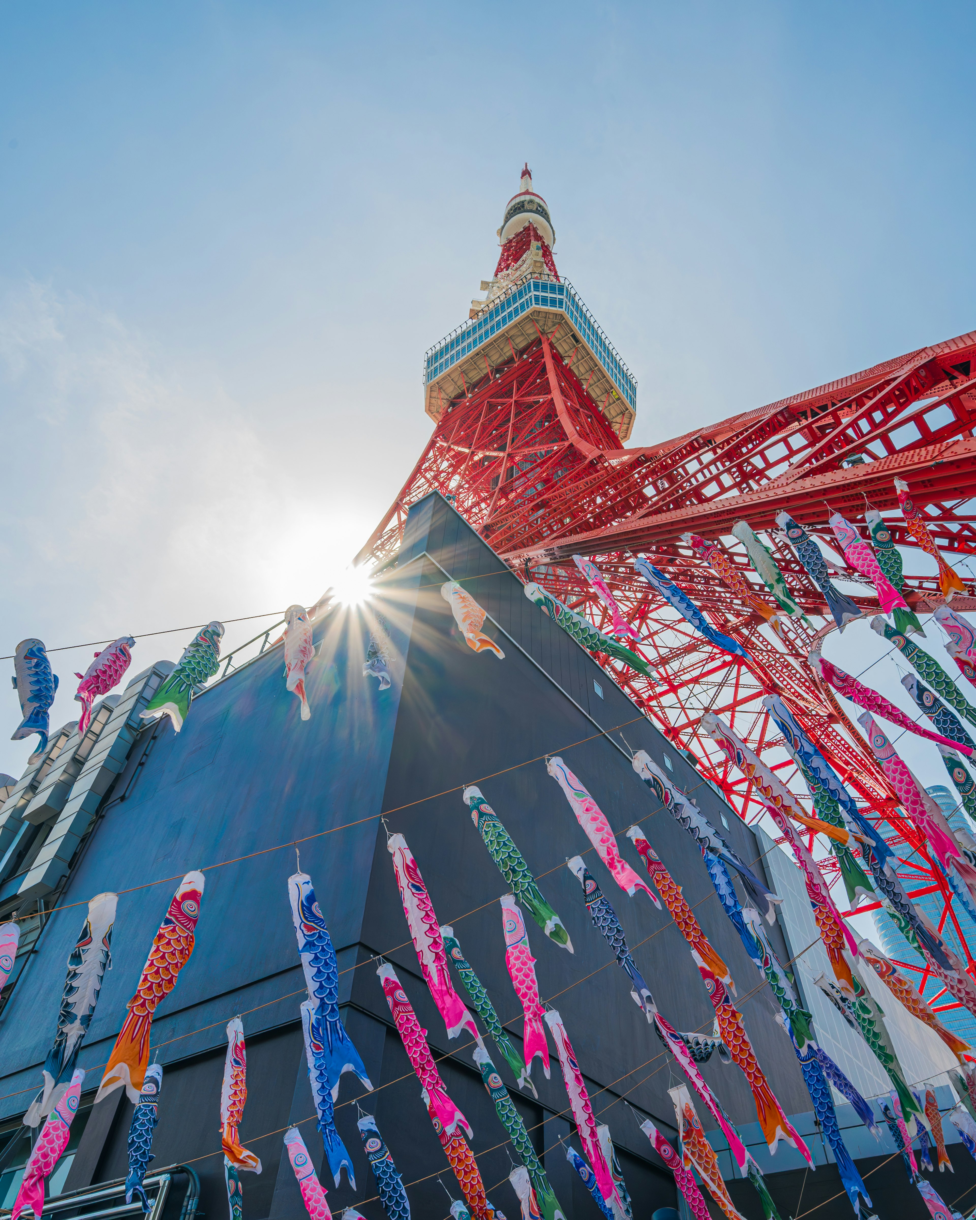 東京タワーの下に色とりどりのこいのぼりが飾られた風景