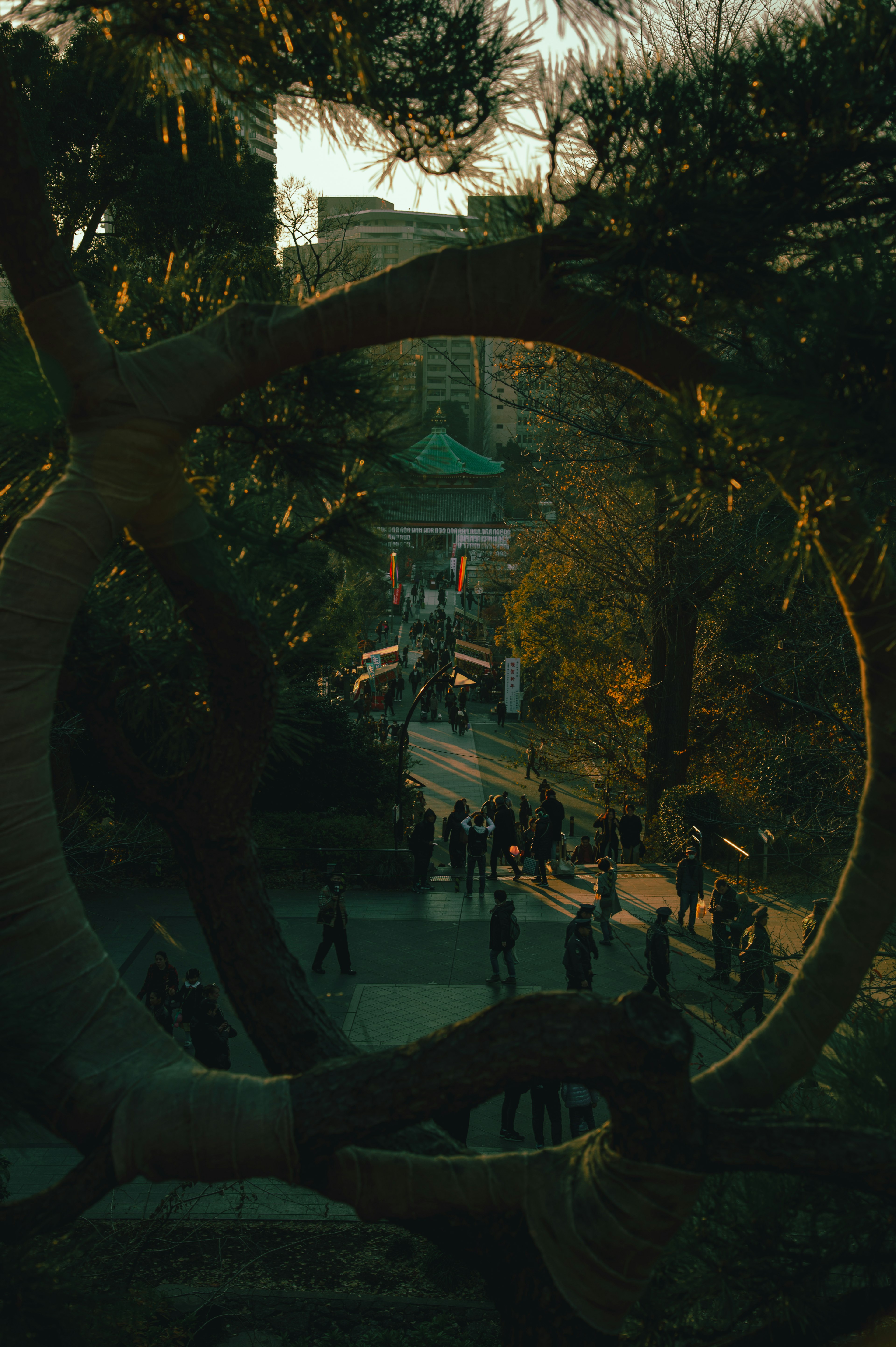 Blick auf einen Park mit Menschen durch einen kreisförmigen Baumrahmen