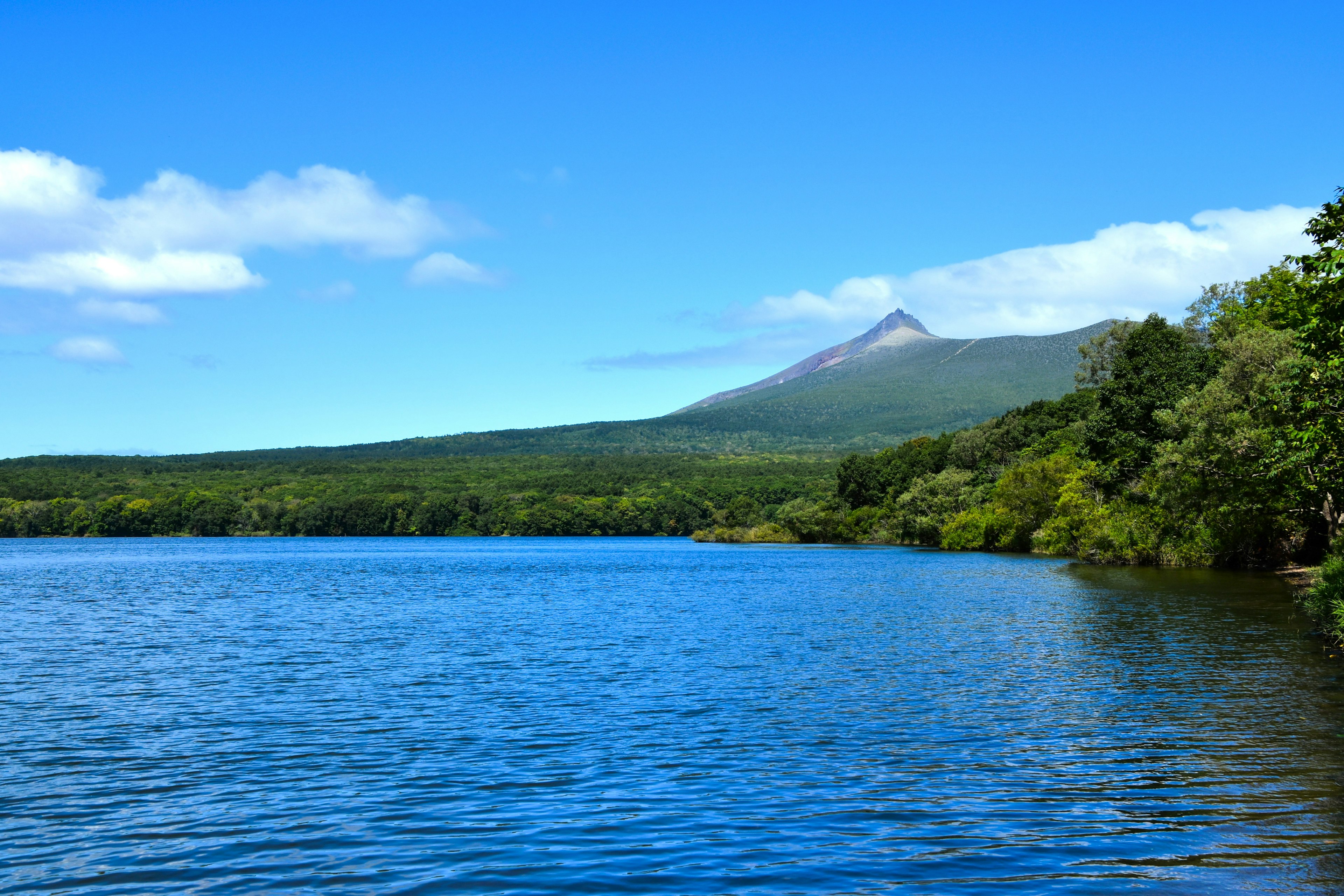 Scenic view of a blue lake surrounded by green forest and a mountain in the background