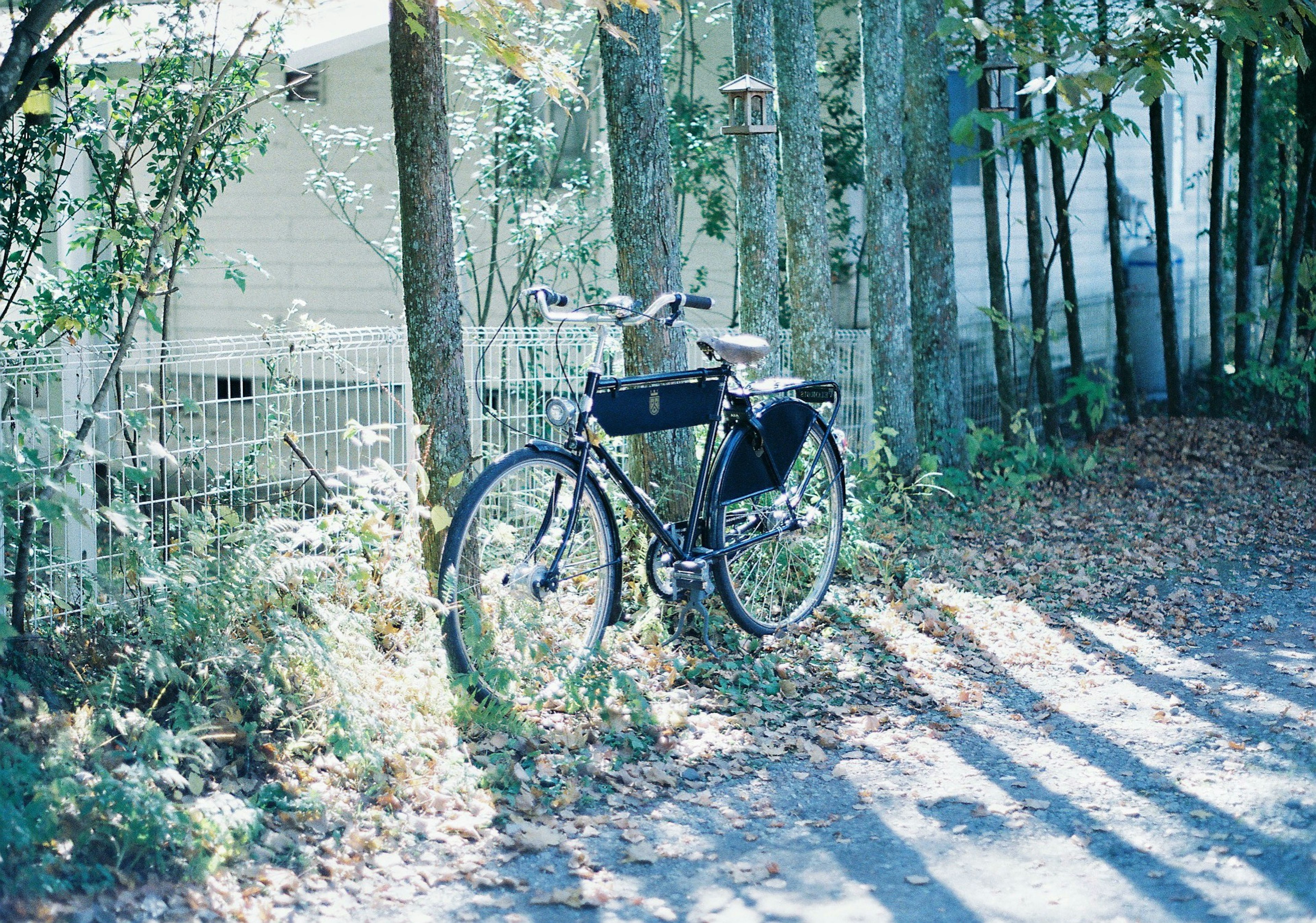 A blue bicycle parked among trees in an autumn setting