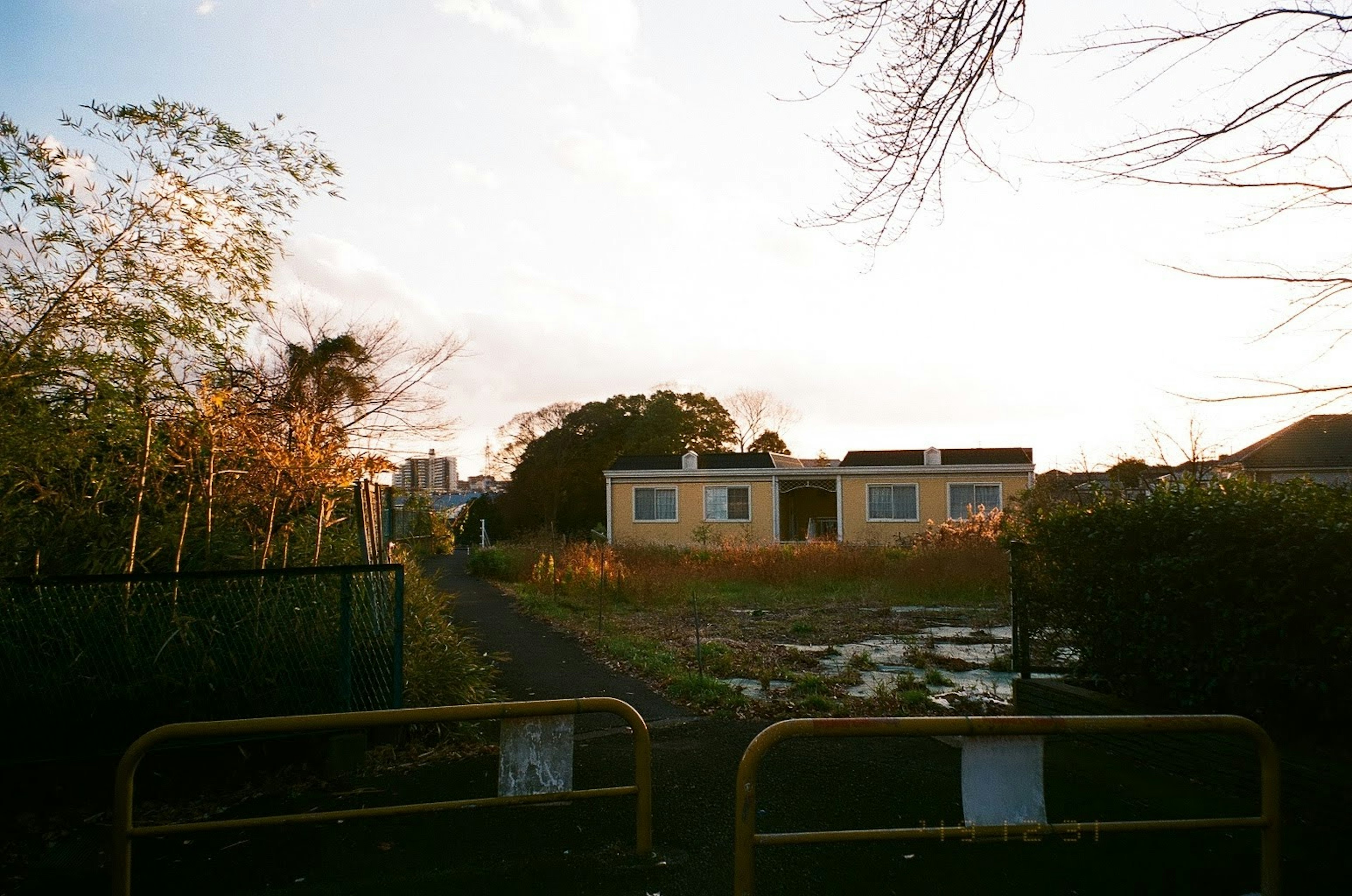 Abandoned building surrounded by overgrown grass under a sunset sky