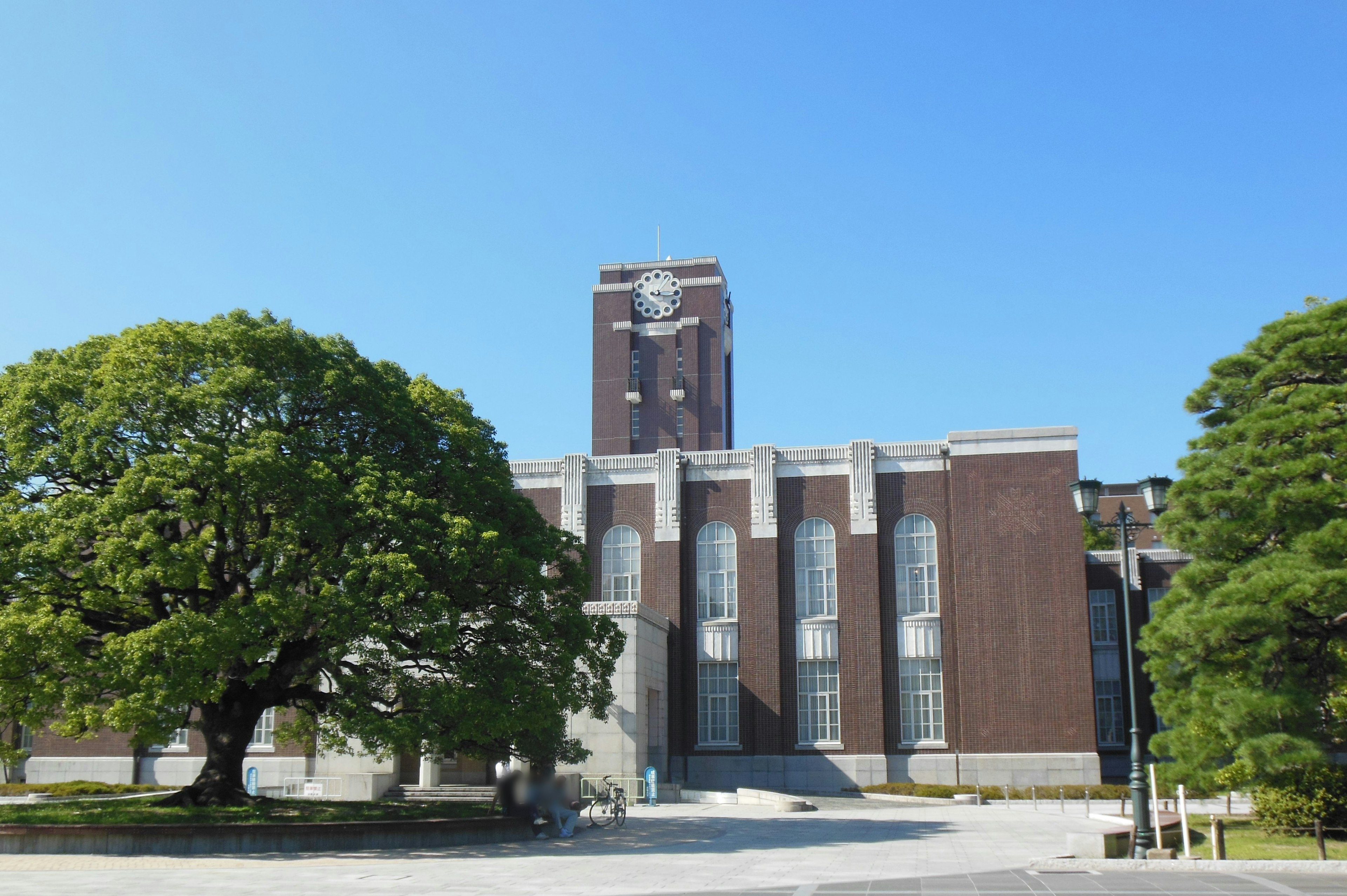 Landscape with a large tree and modern building under a blue sky