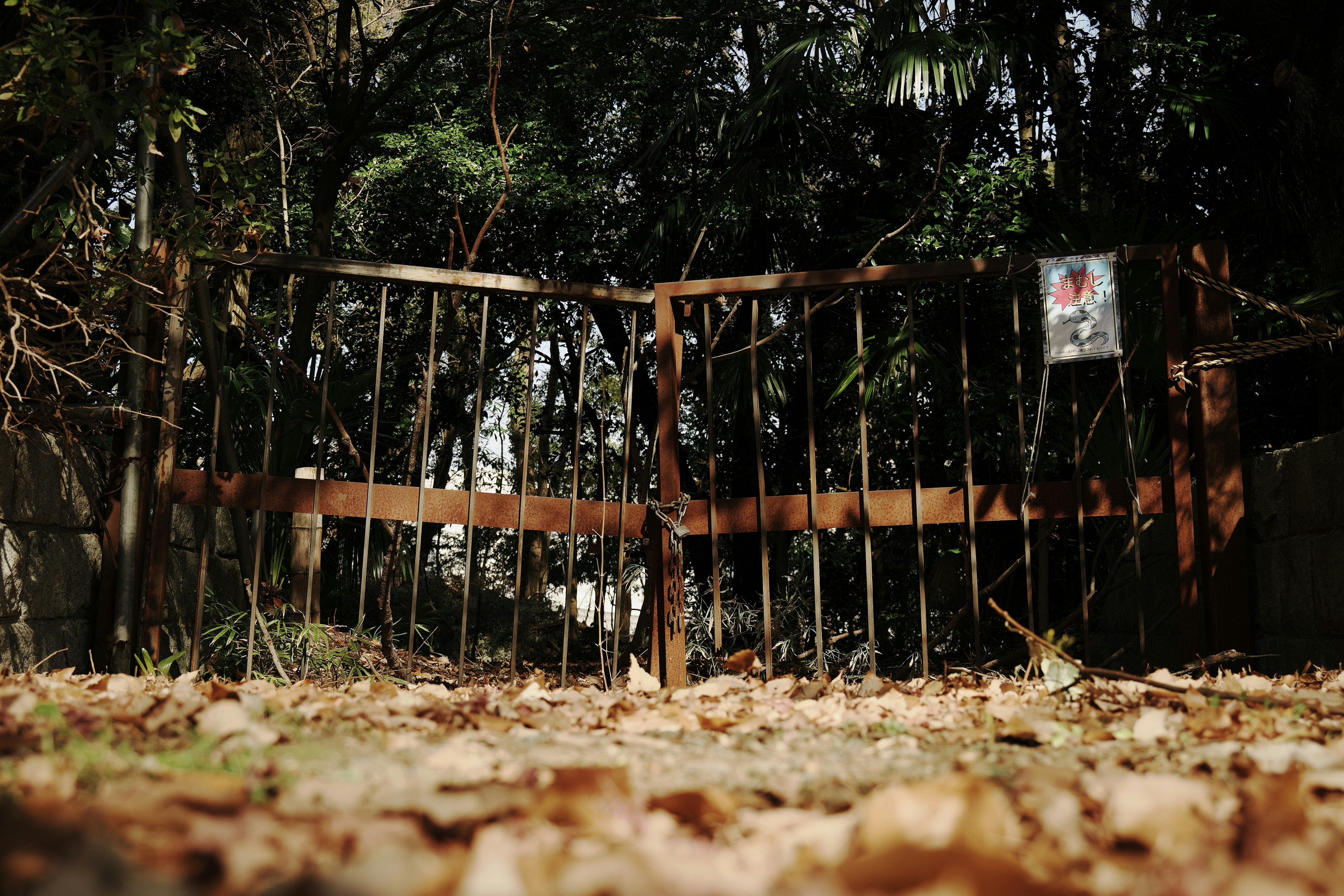 Pagar besi berkarat dengan daun jatuh di lingkungan hutan