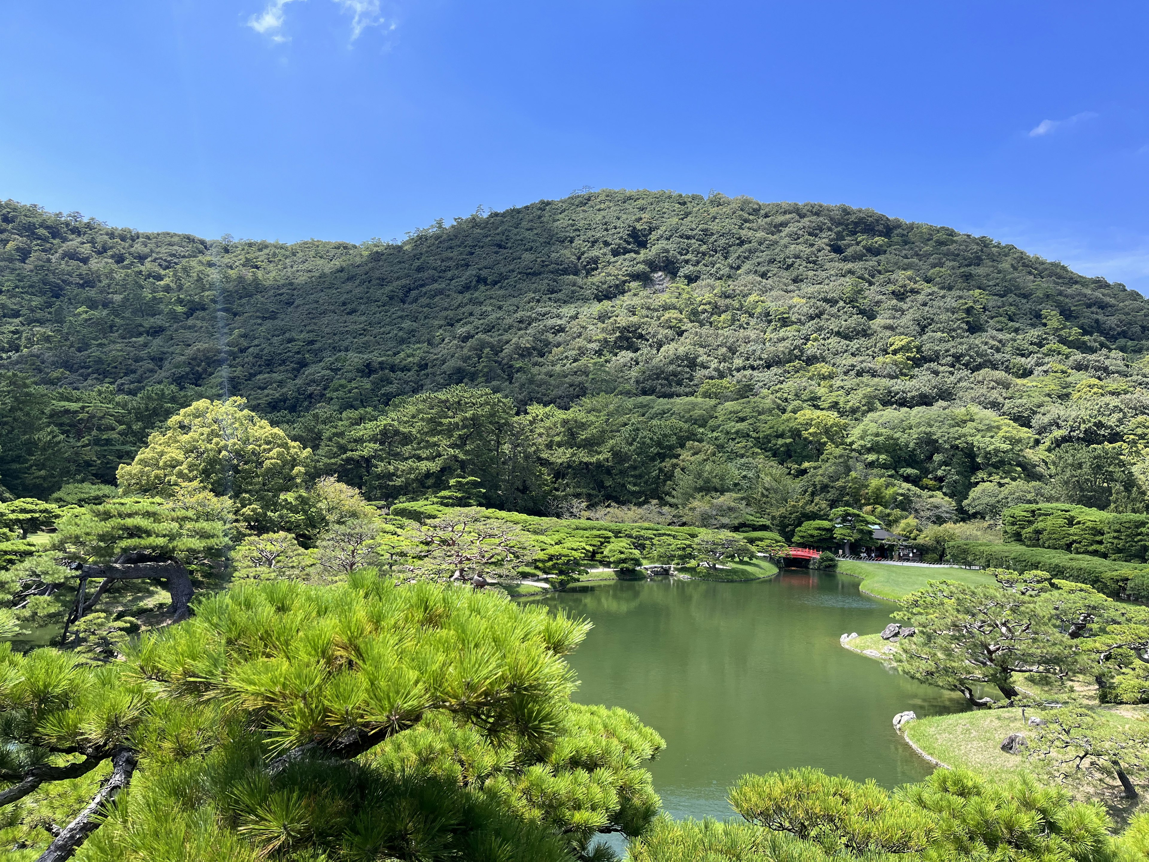 Lush green hills surrounding a tranquil pond under a clear blue sky