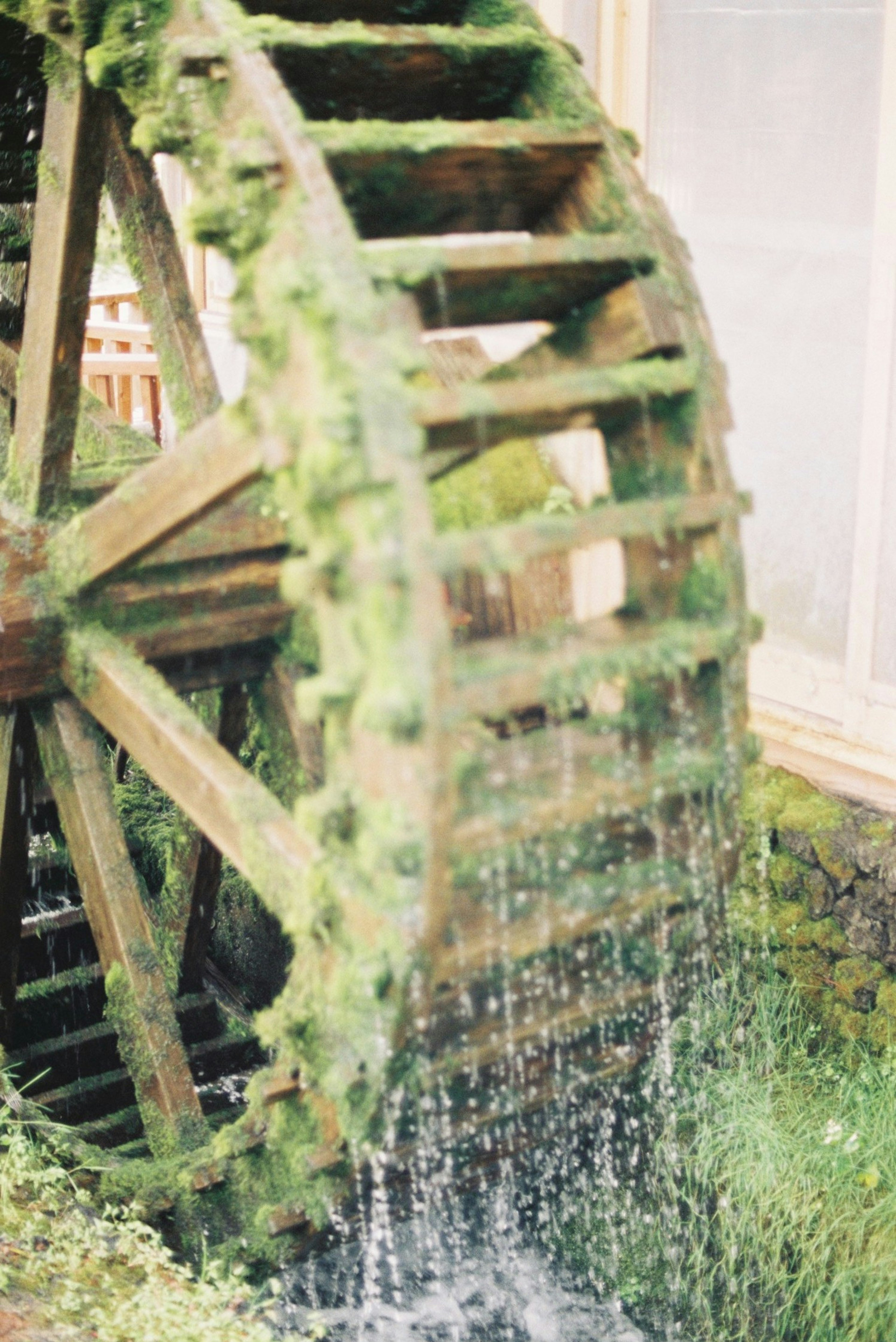 A wooden water wheel covered in moss with flowing water