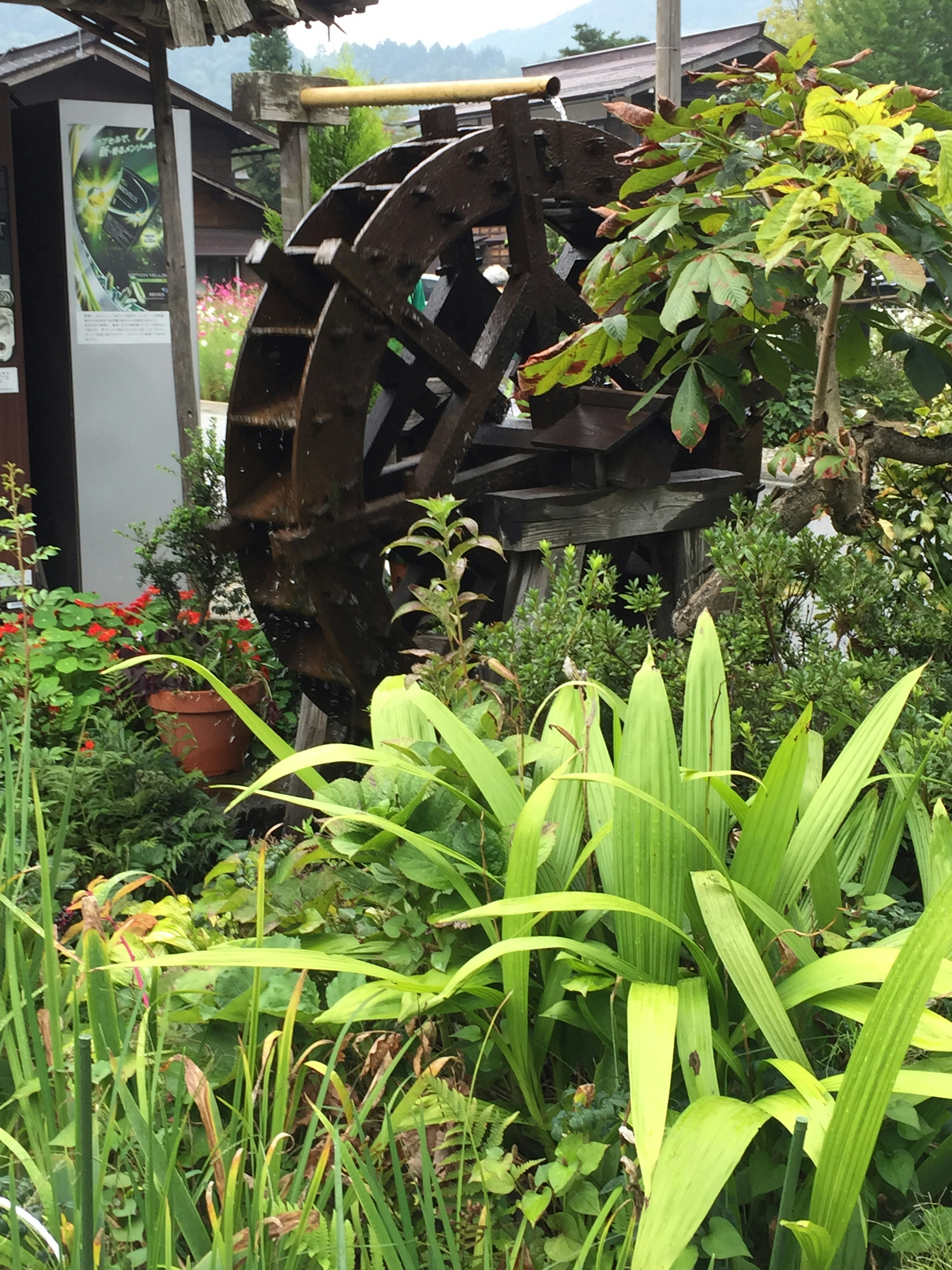 Roue à eau entourée de verdure luxuriante et de plantes