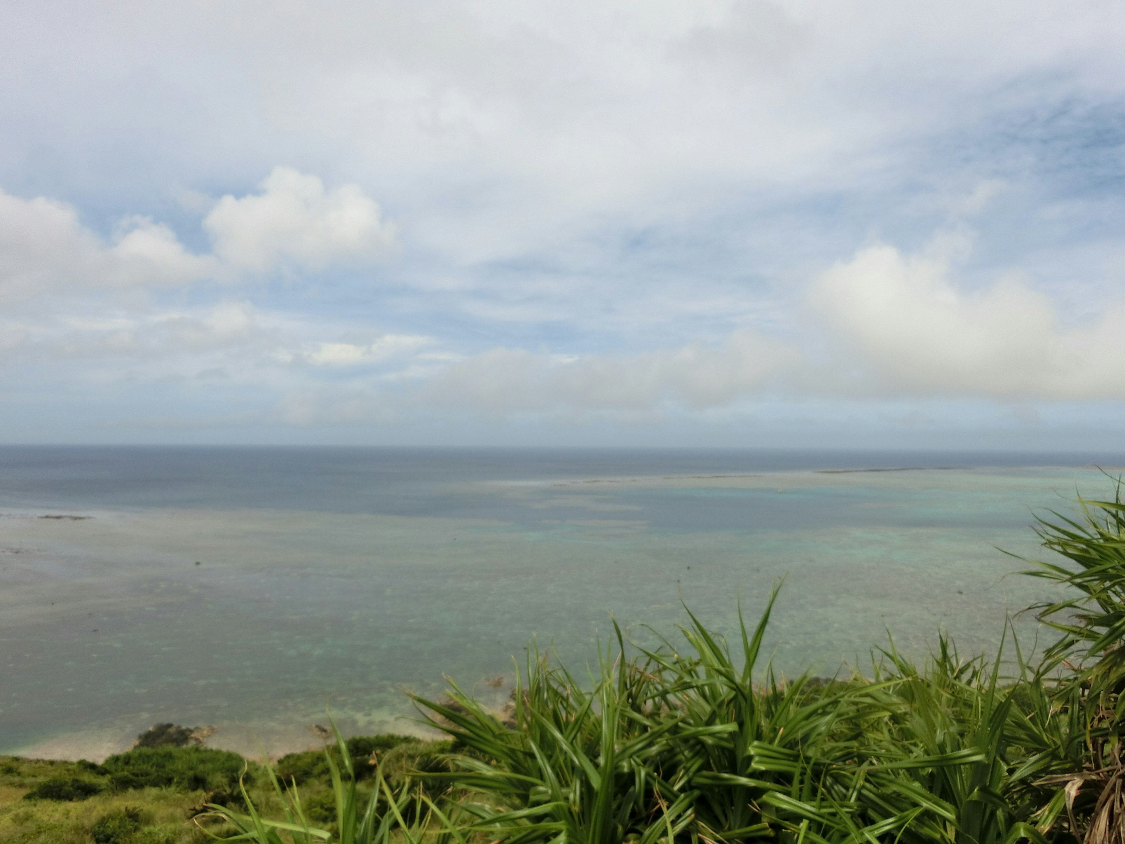 藍色海洋和多雲天空的風景 前景有綠色草叢