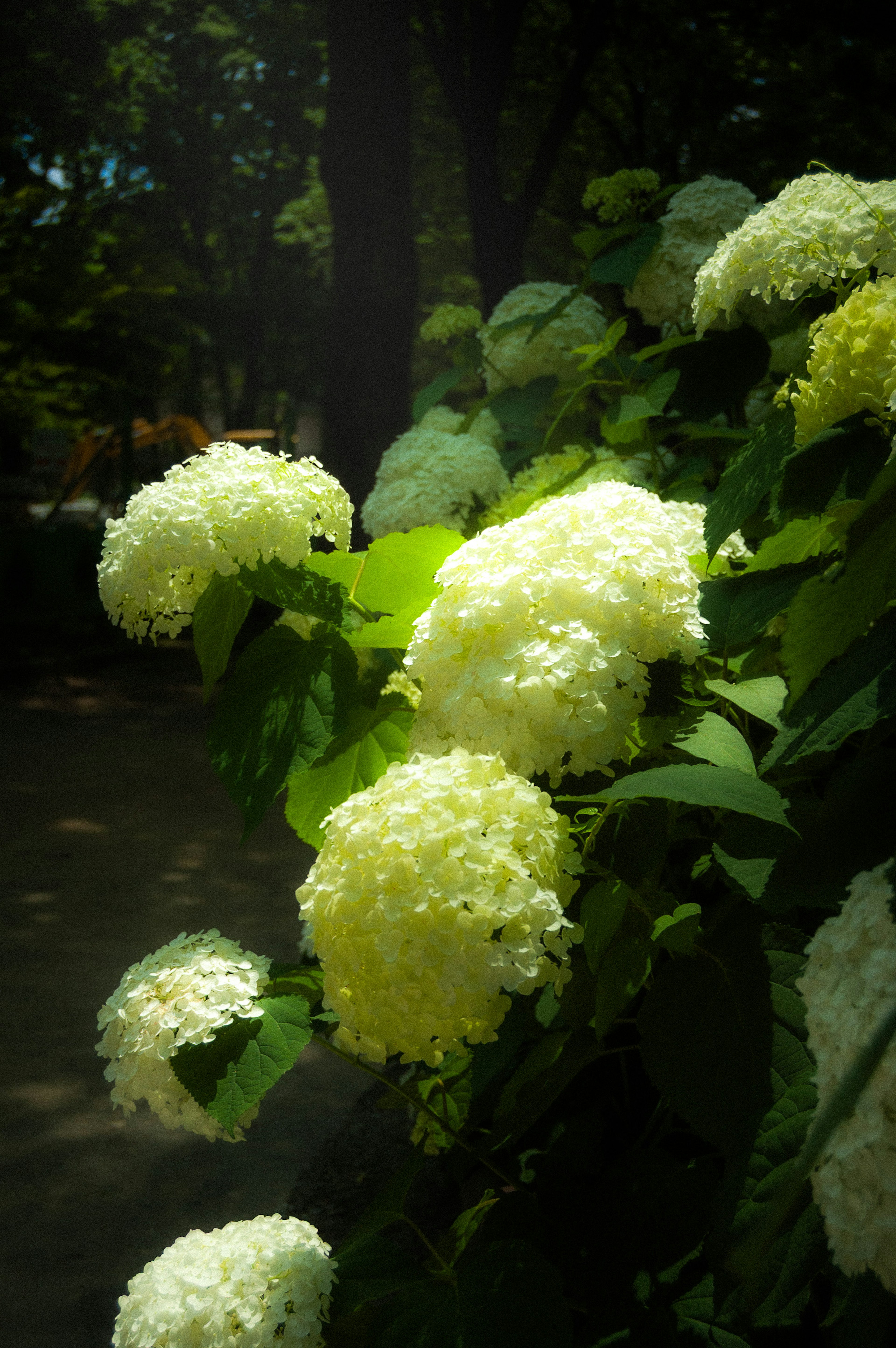 photo-JM6AY3LF3XcmoFRyaVxG-image