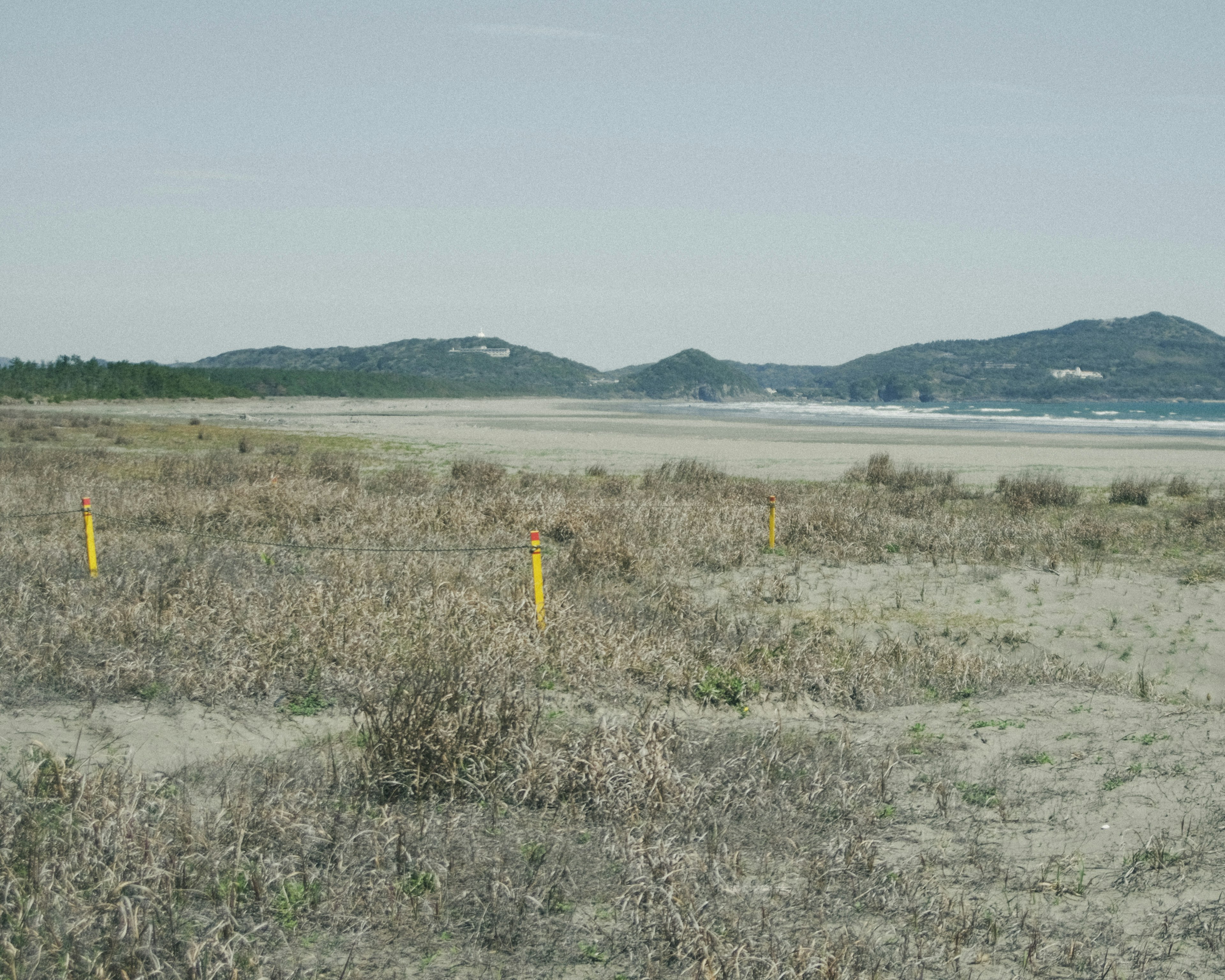 Küstenlandschaft mit gelben Markierungen in kargem Grasland