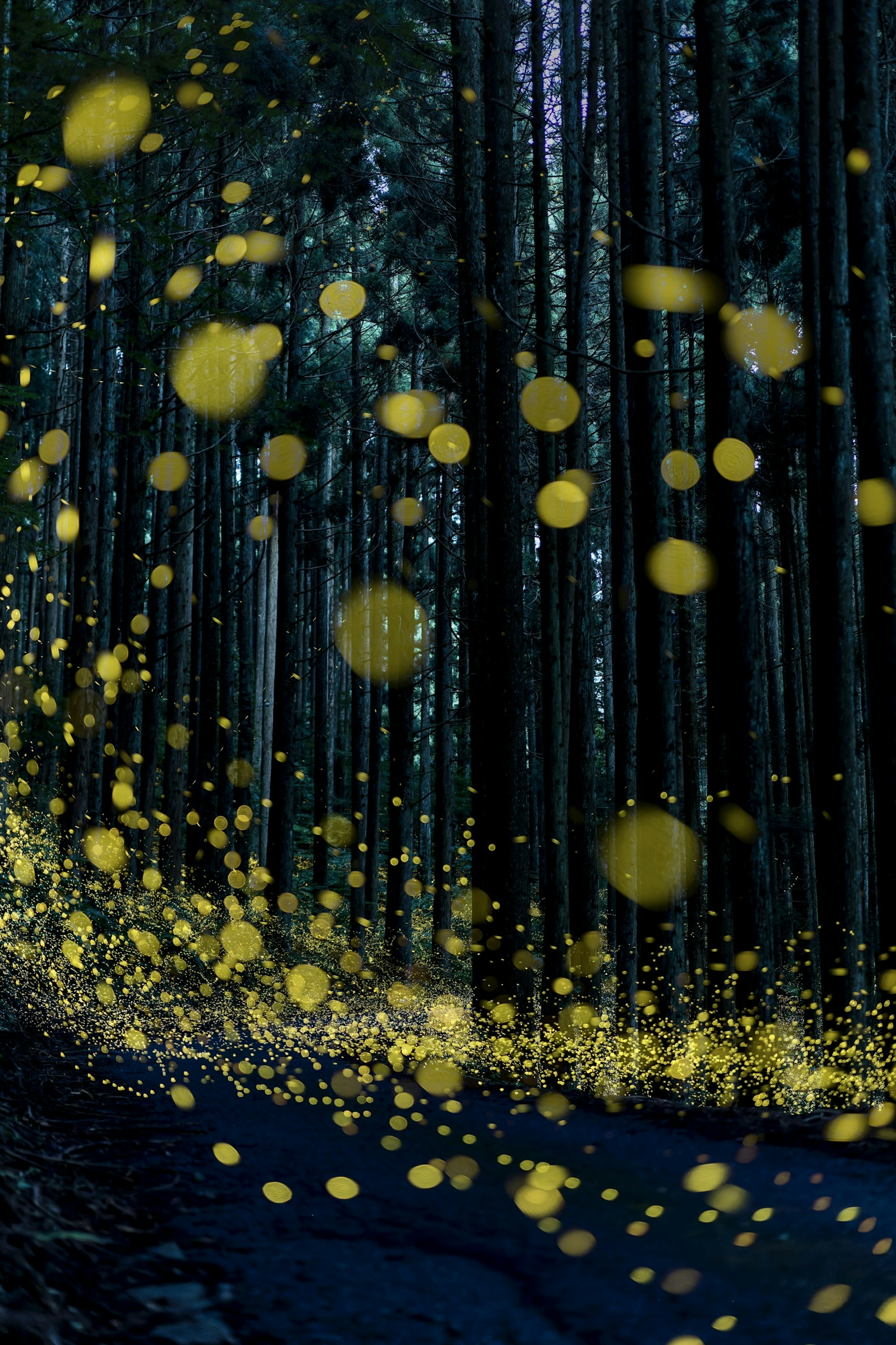 A swarm of glowing fireflies in a dark forest with tall trees