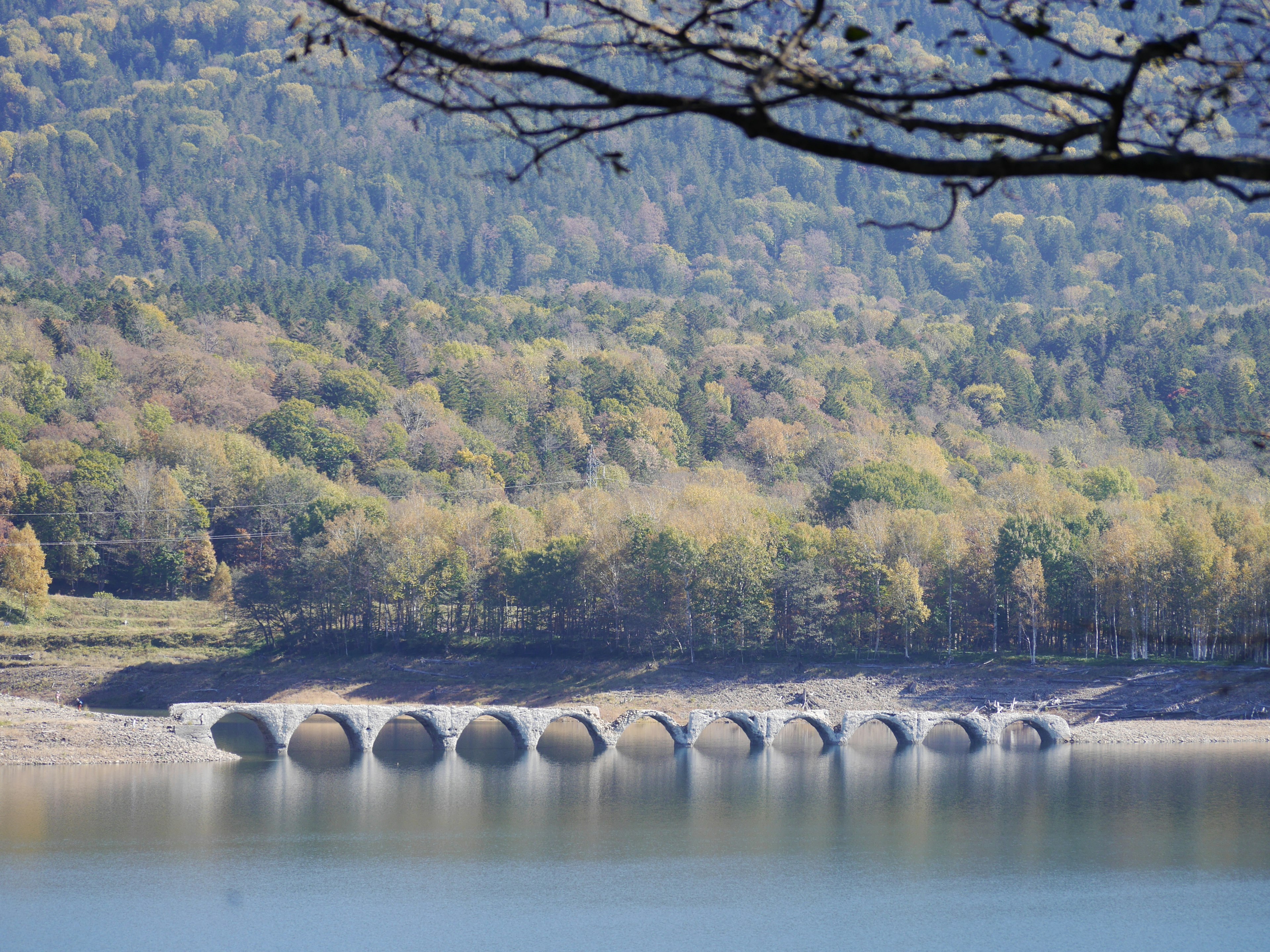 緑の木々に囲まれた穏やかな湖の景色と、湖面に映る円形の構造物