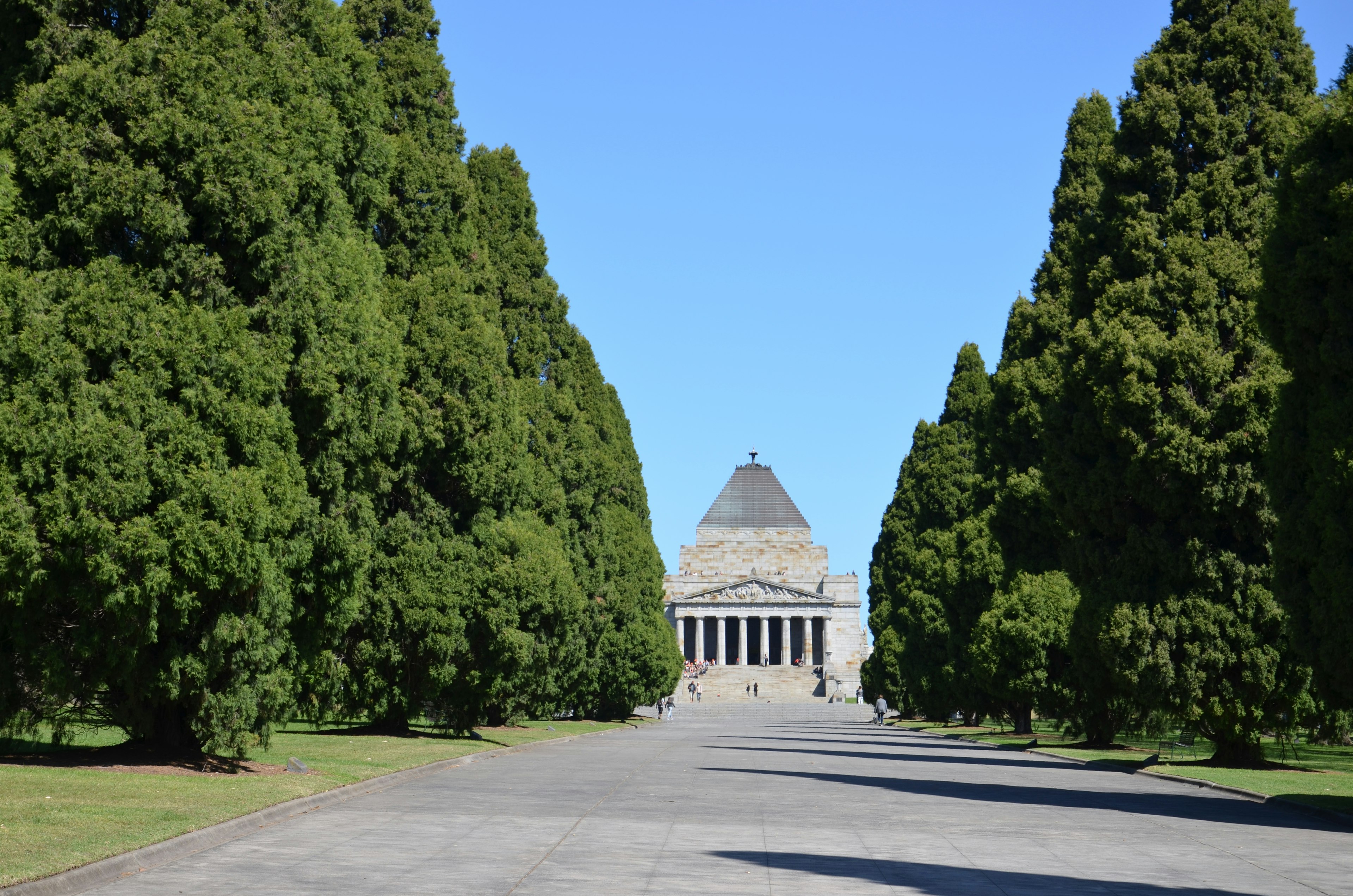 Pathway lined with tall trees leading to a memorial dome