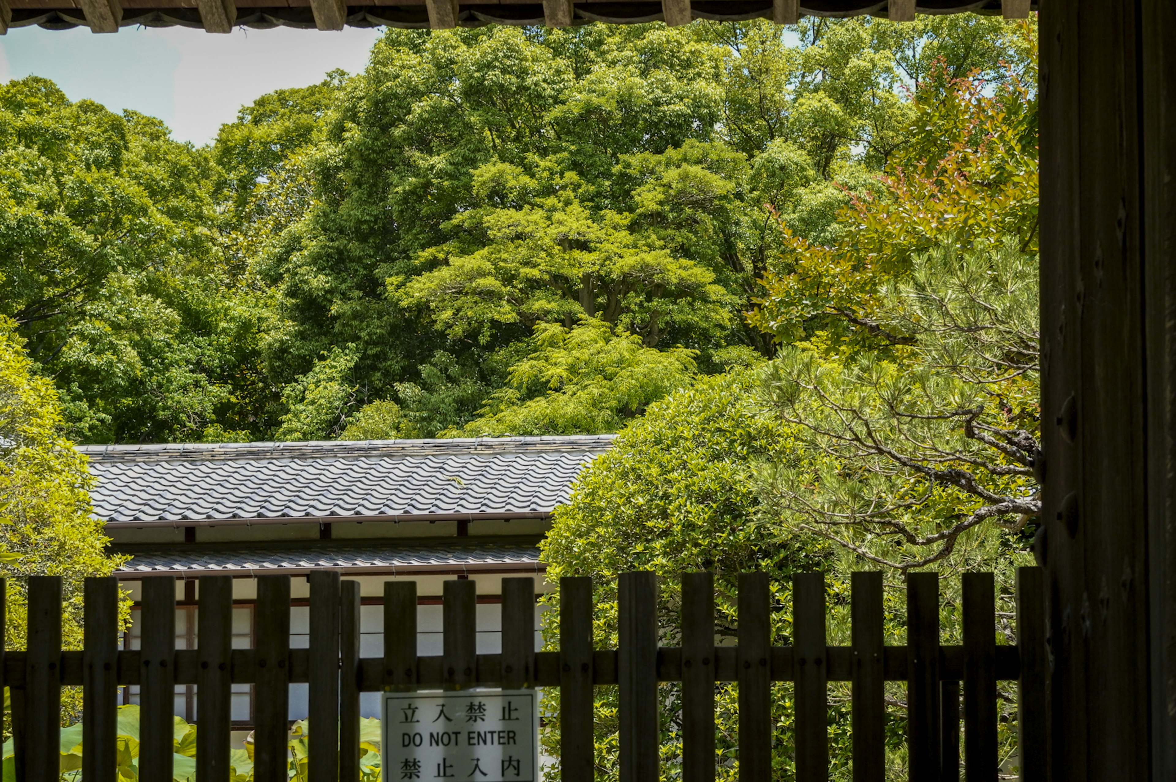 木々に囲まれた日本の伝統的な建物の景色