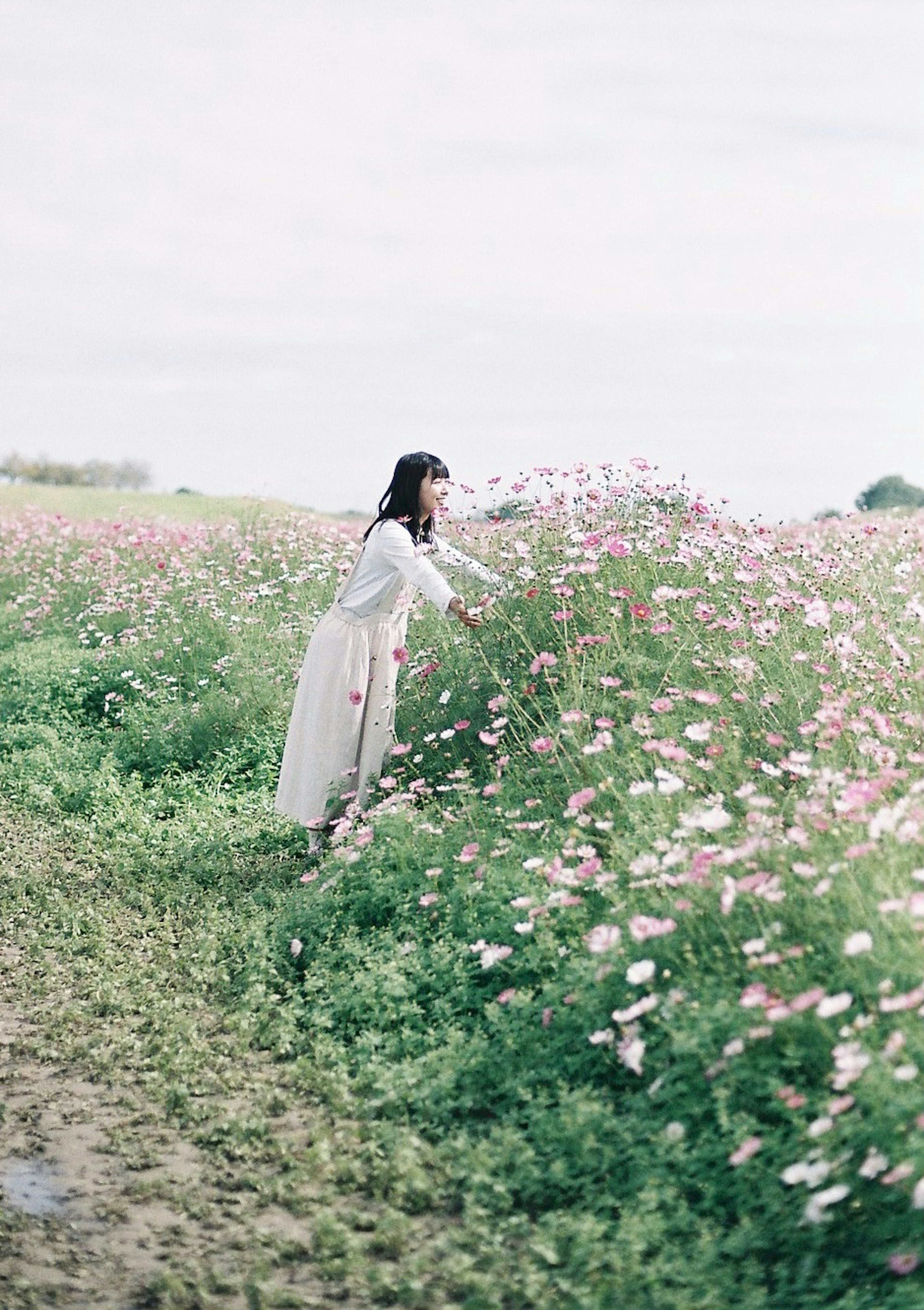 花畑で花を摘む女性の姿