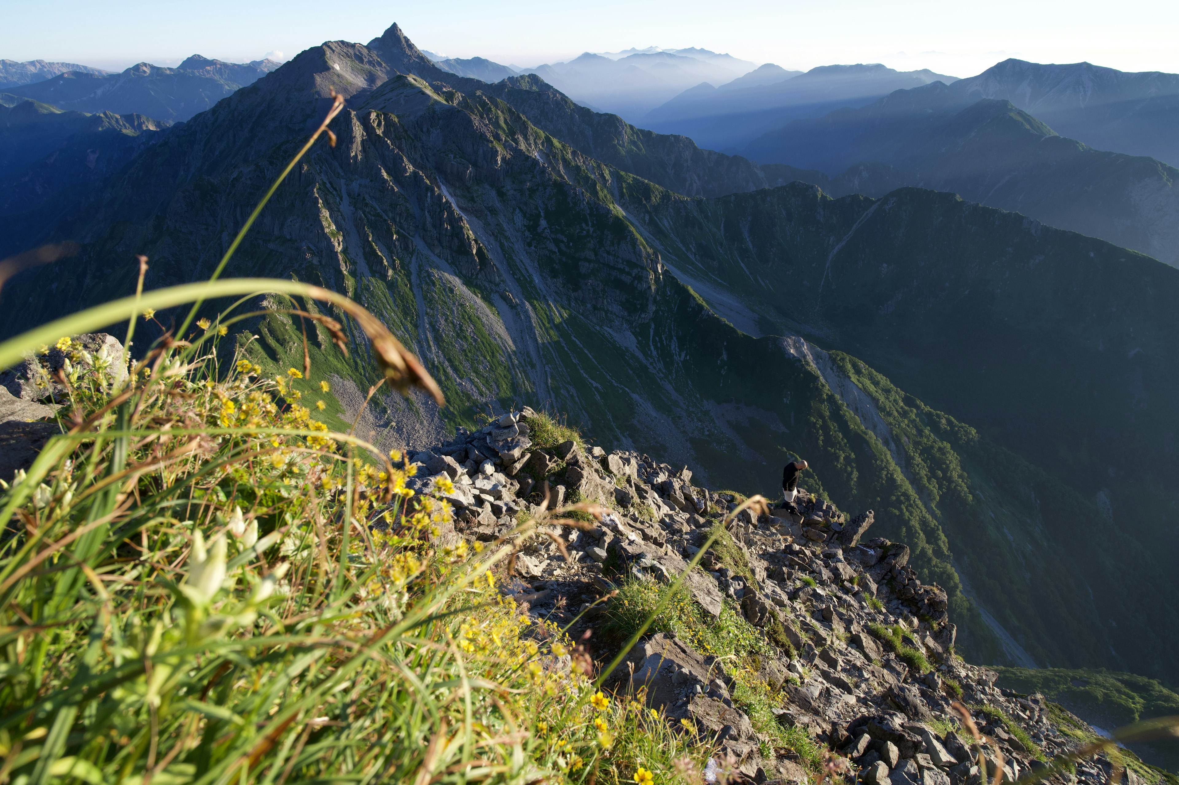 緑の草と花がある山の風景の写真 雄大な山脈が背景に広がる