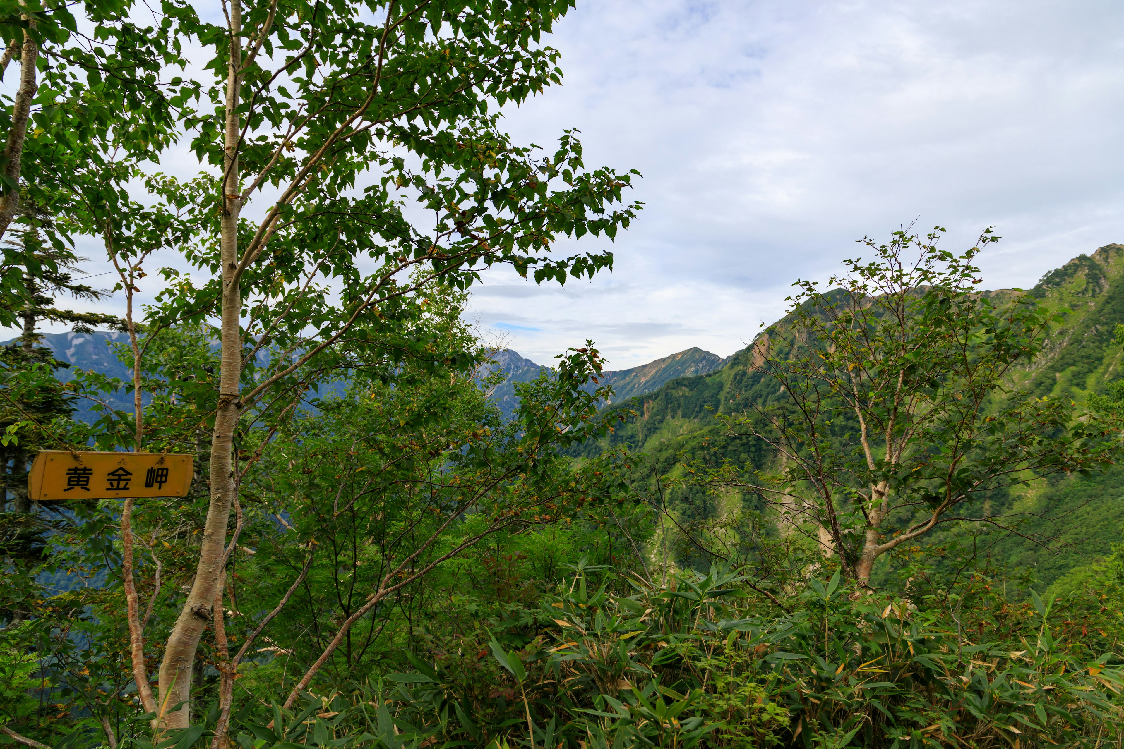 Montañas verdes y árboles con un letrero visible