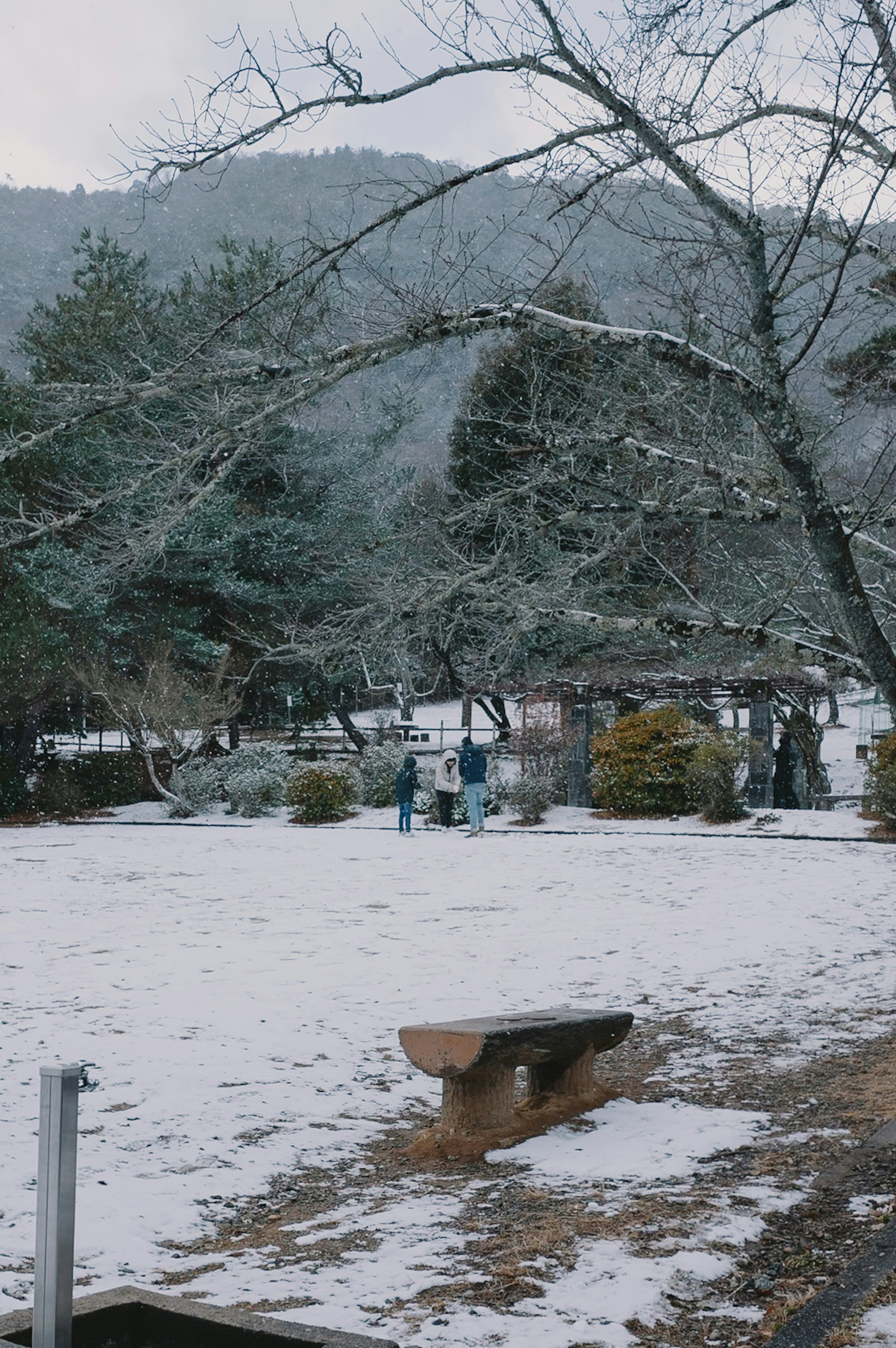 Scena di parco coperto di neve con montagne in lontananza