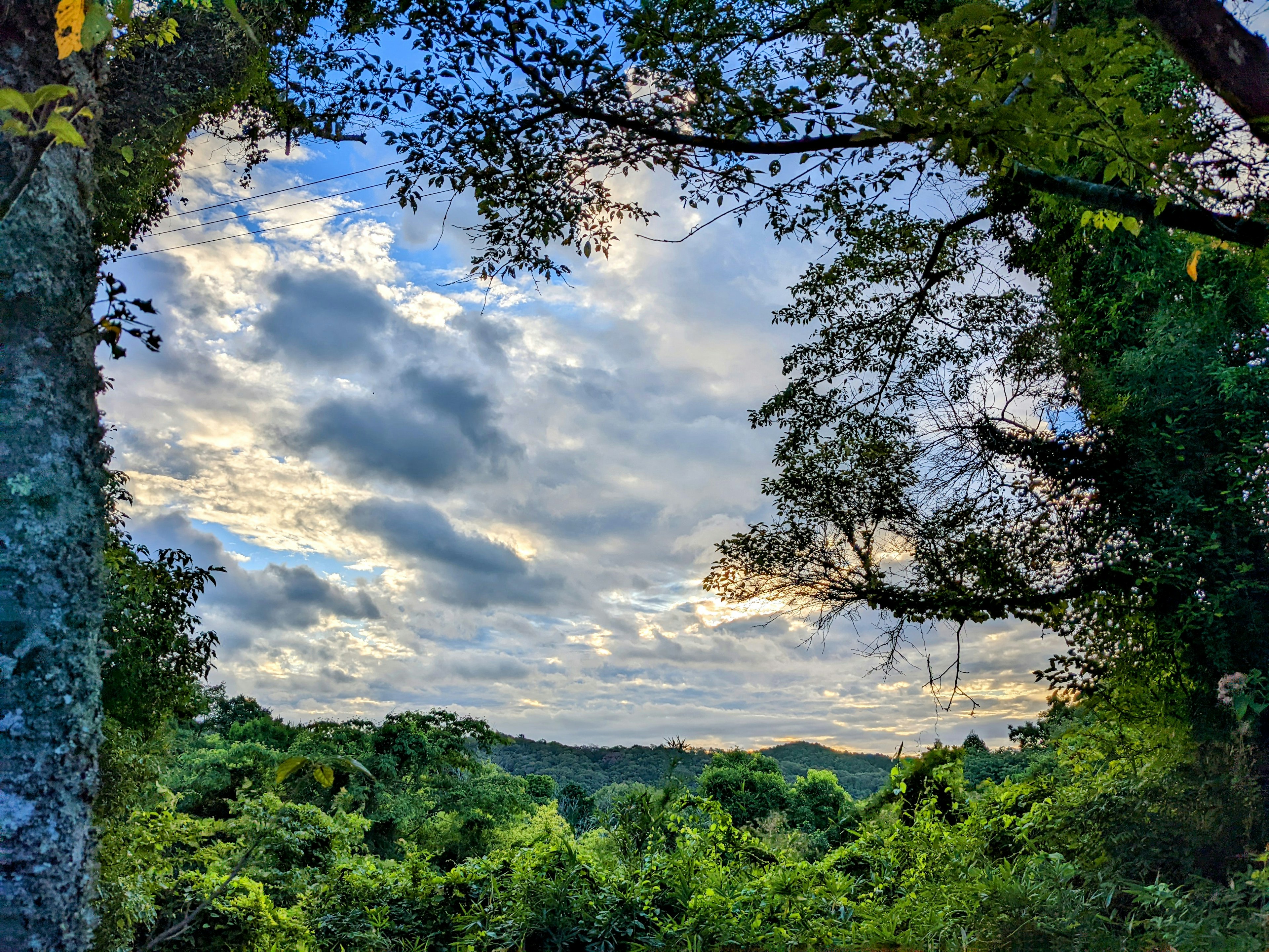 青空と雲が広がる自然の風景 緑の木々に囲まれた美しい景色